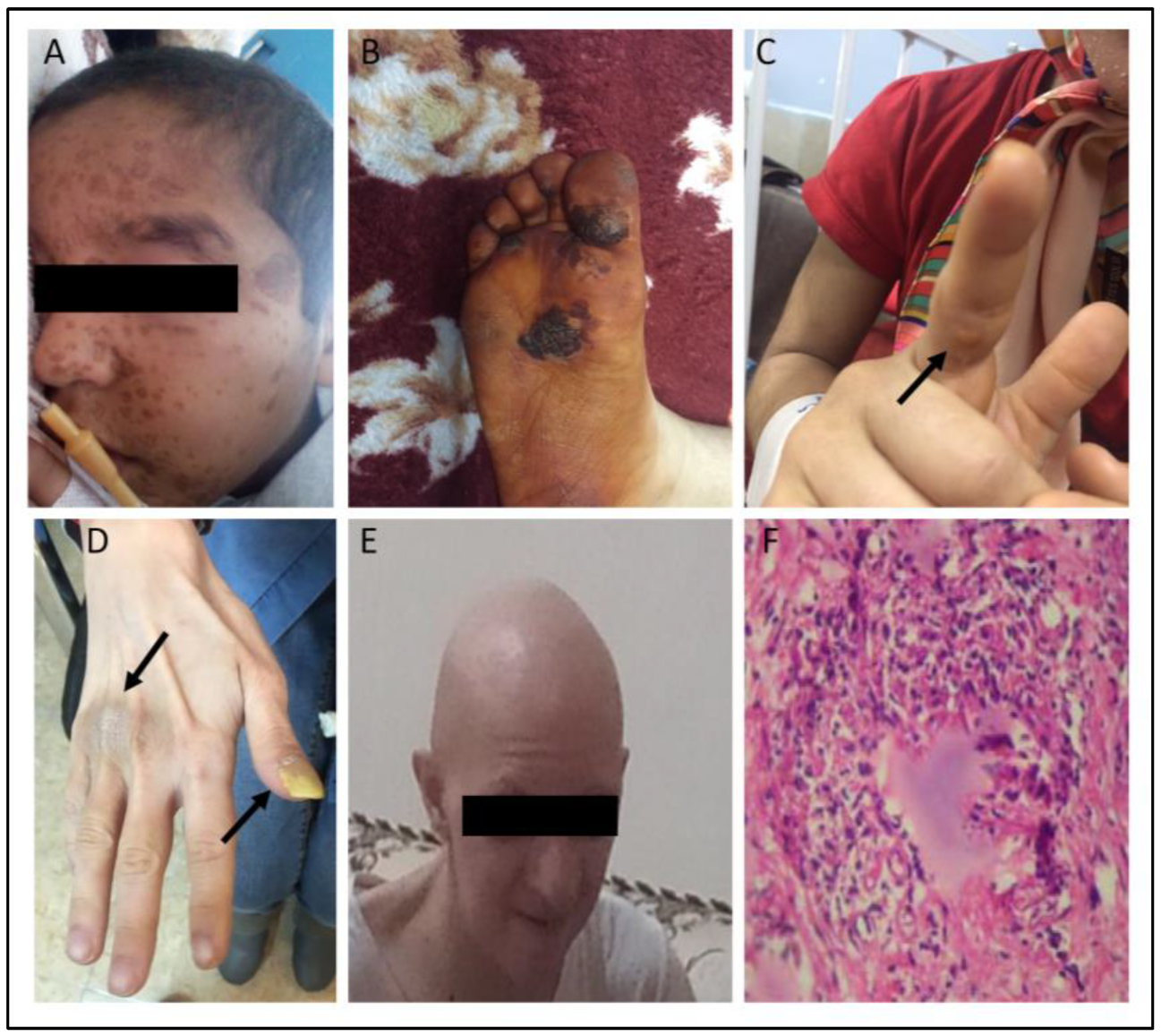 Biology 12 00644 g002 Biology 12 00644 g002