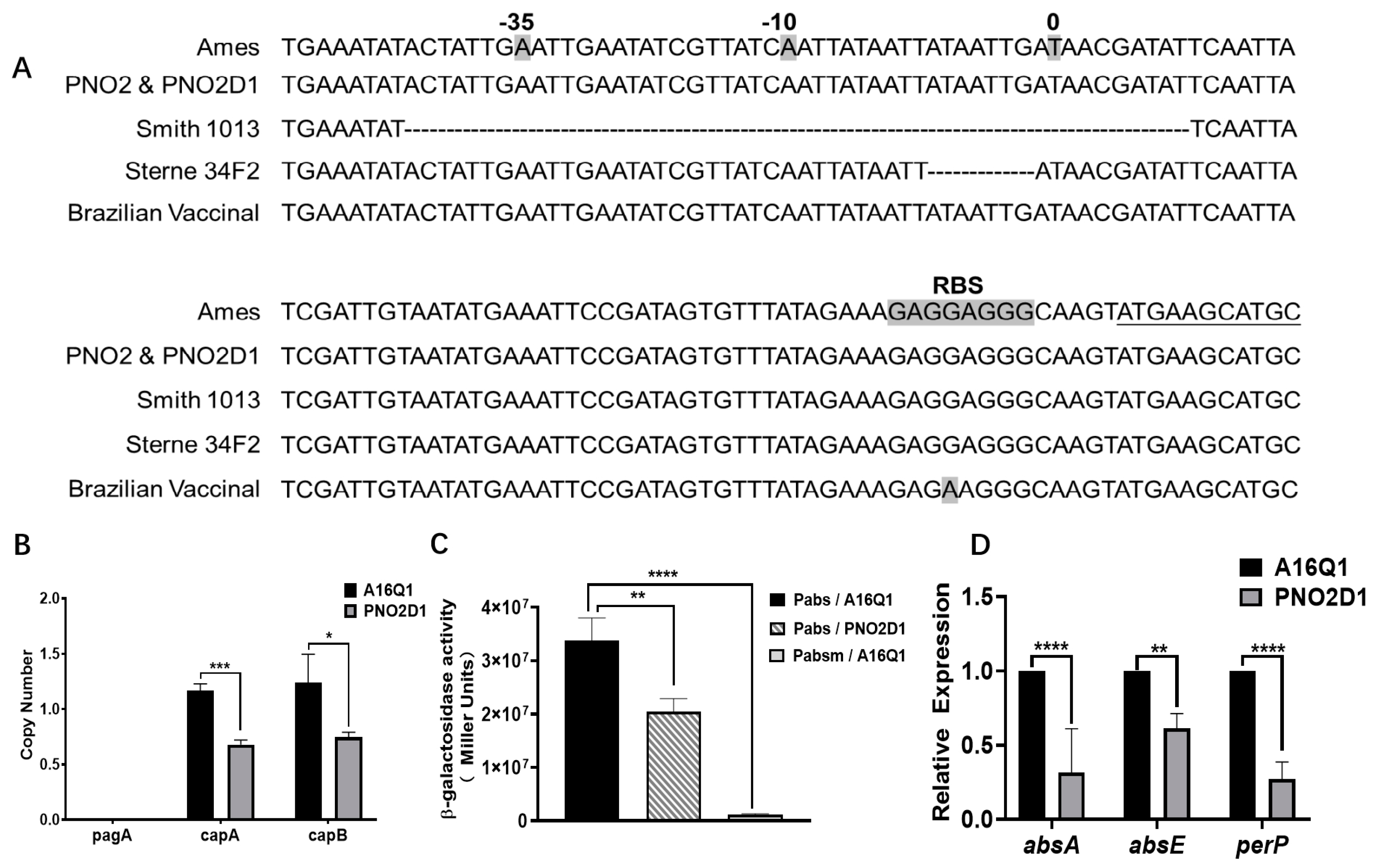 Microbial Community Structure in the Taklimakan Desert: The Importance of  Nutrient Levels in Medium and Culture Methods