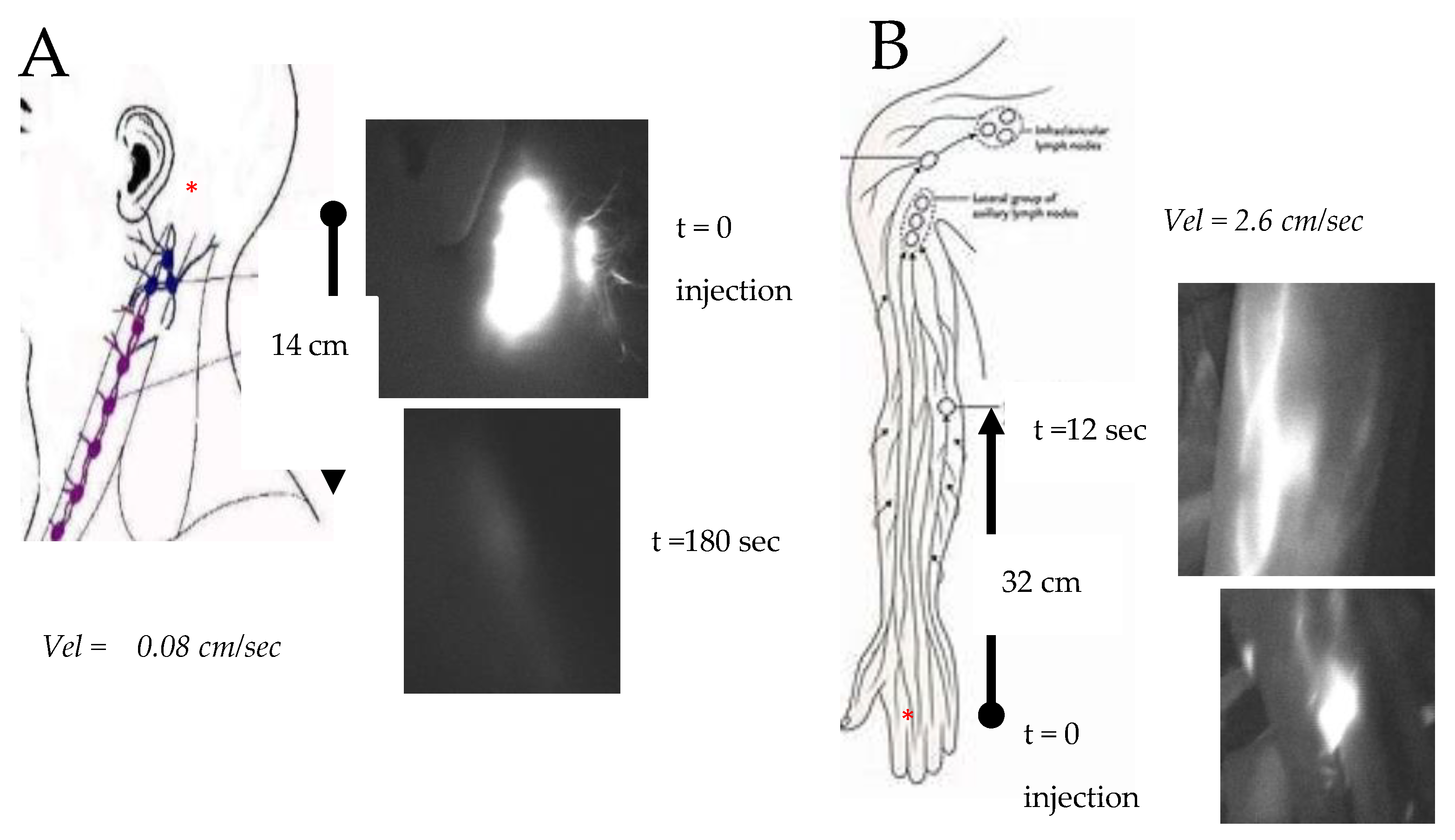 Biology 12 00646 g002