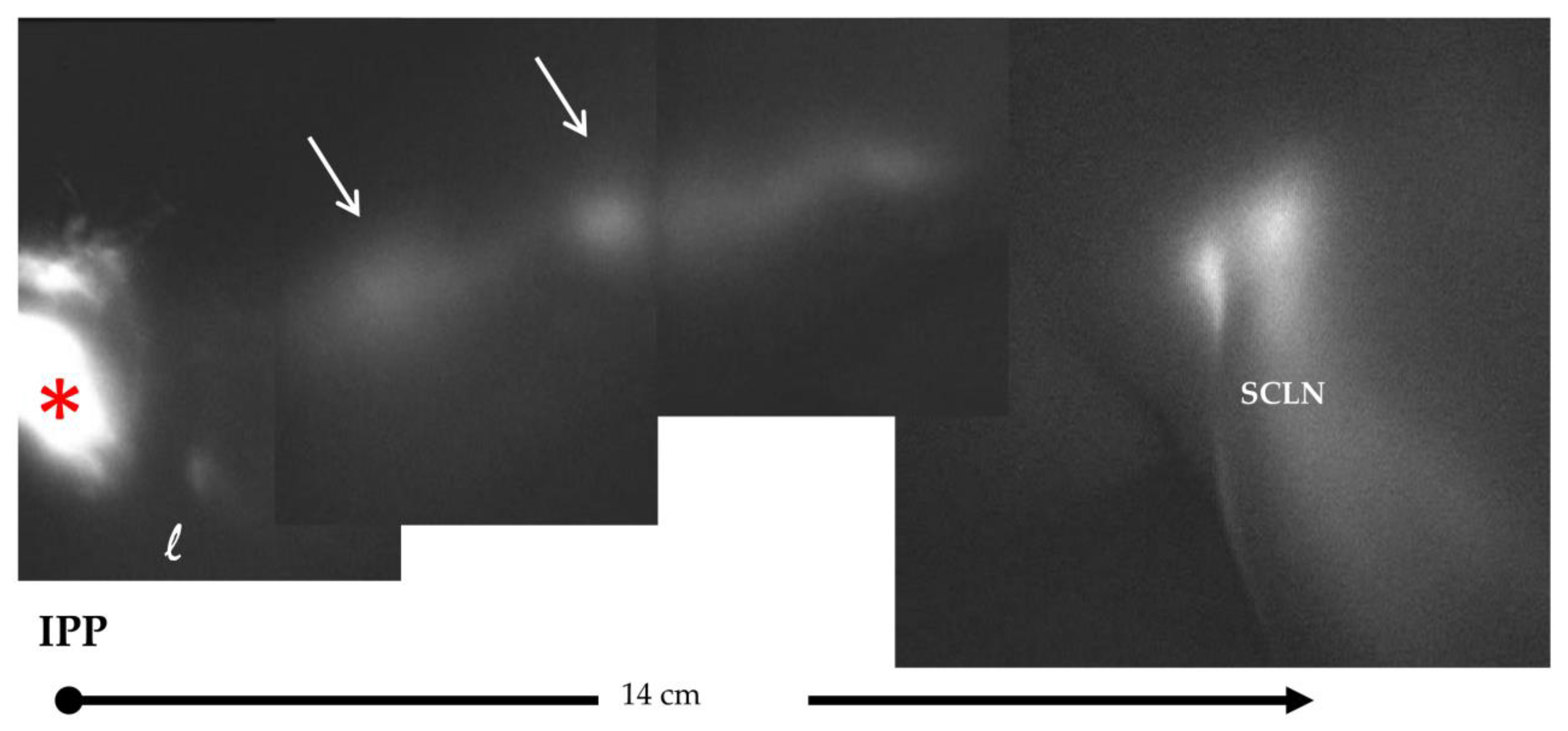Biology 12 00646 g003