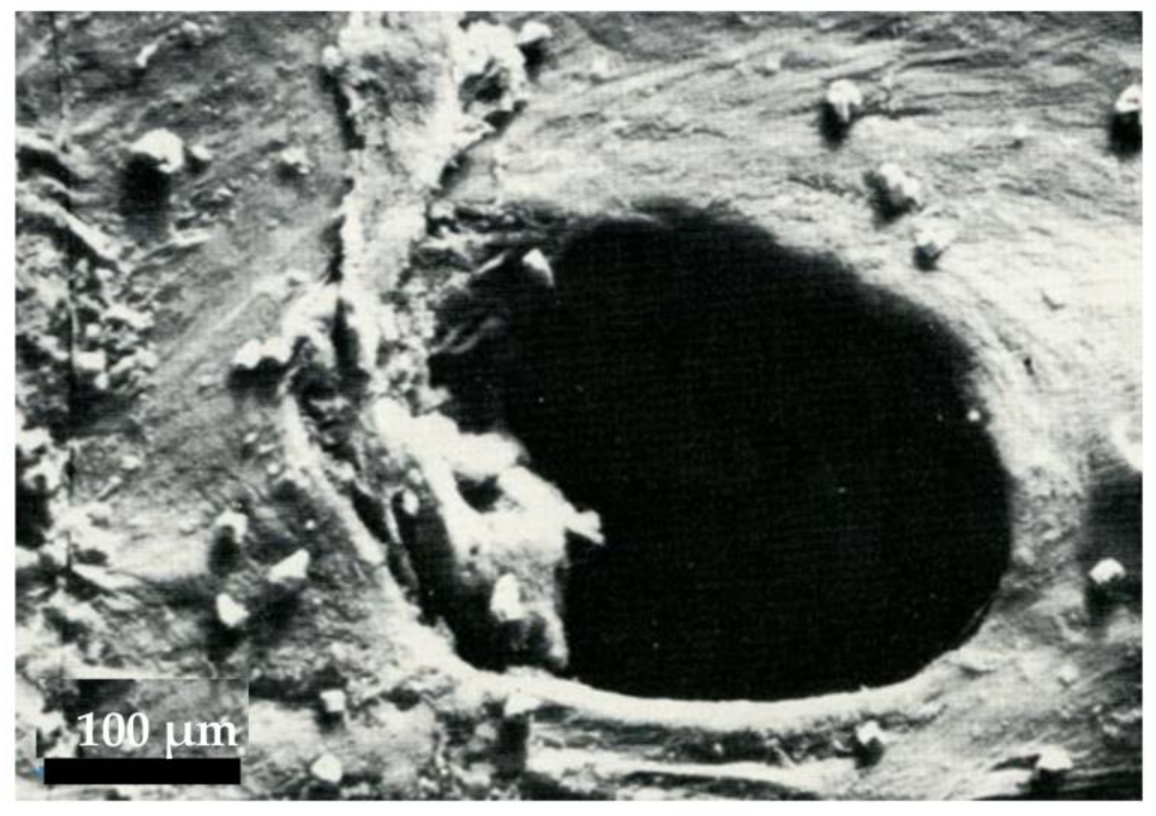 Biology 12 00646 g005