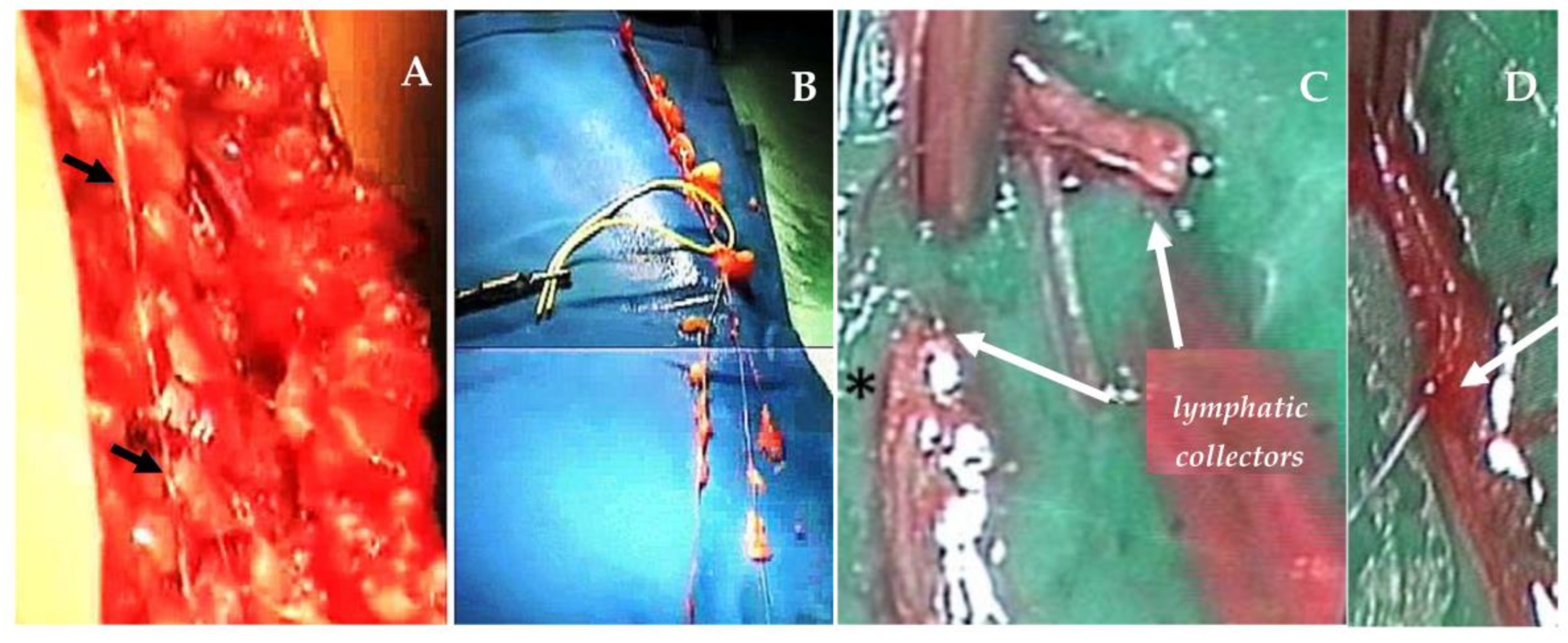 Biology 12 00646 g006