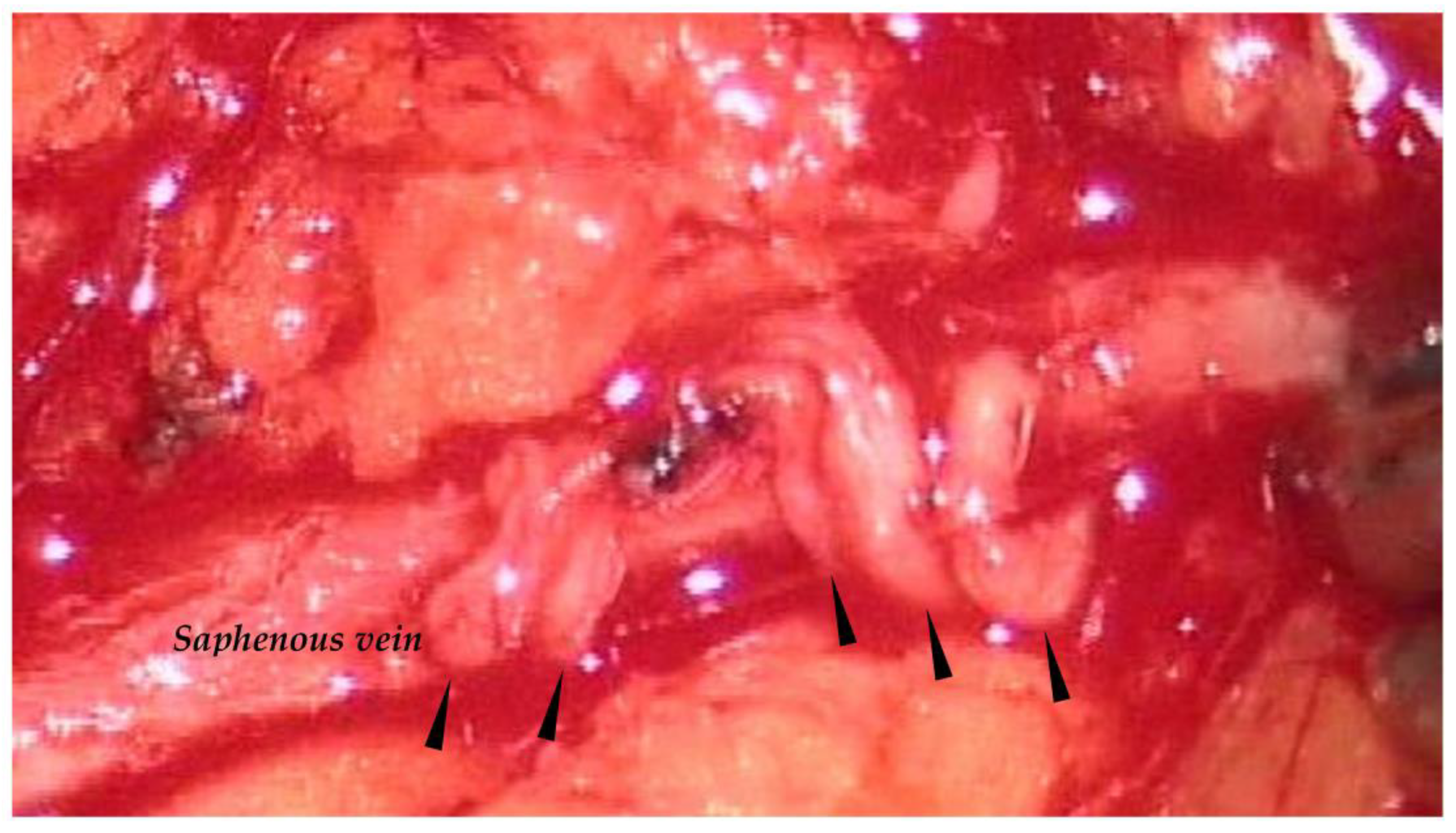 Biology 12 00646 g007