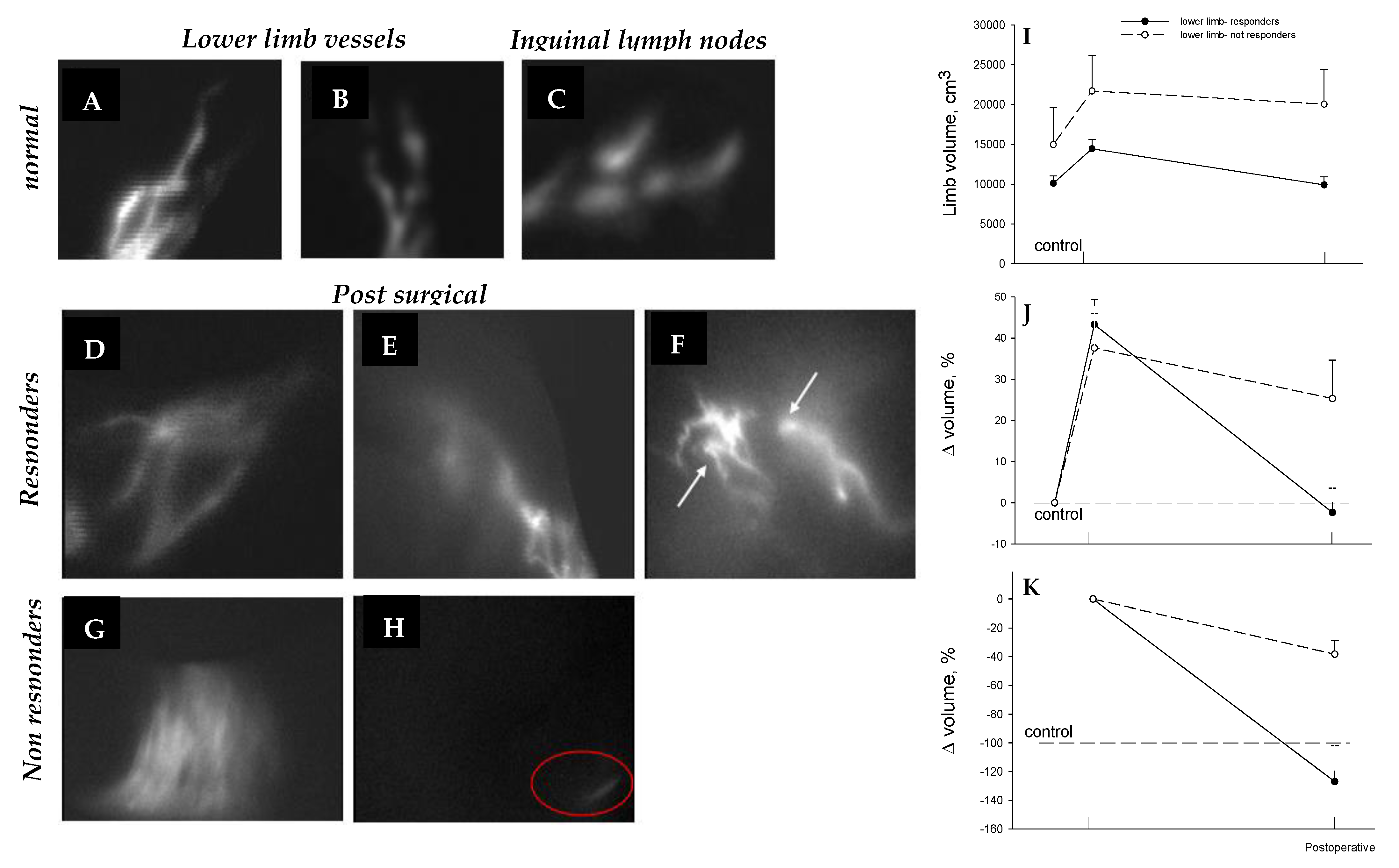Biology 12 00646 g011