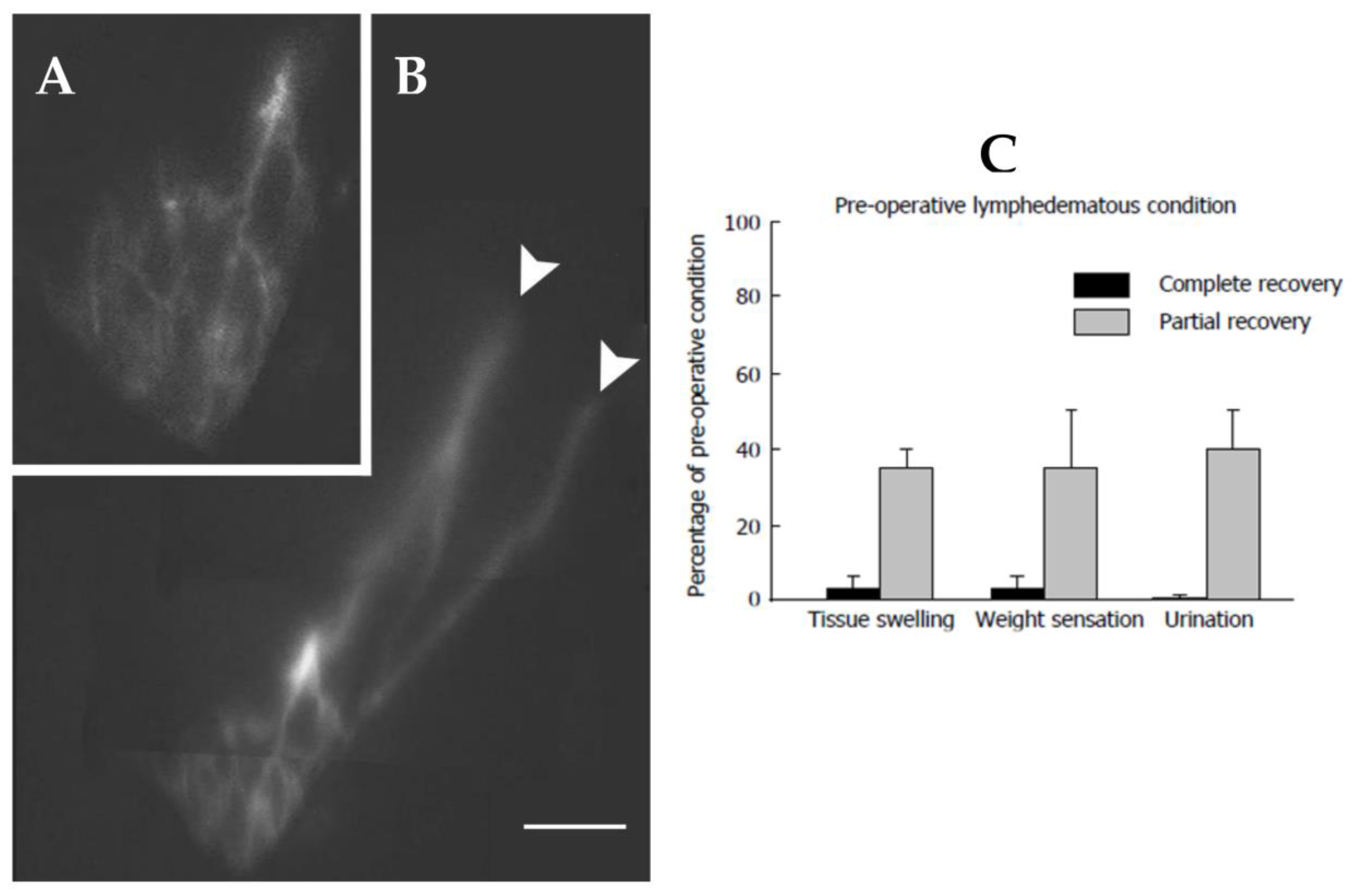 Biology 12 00646 g012