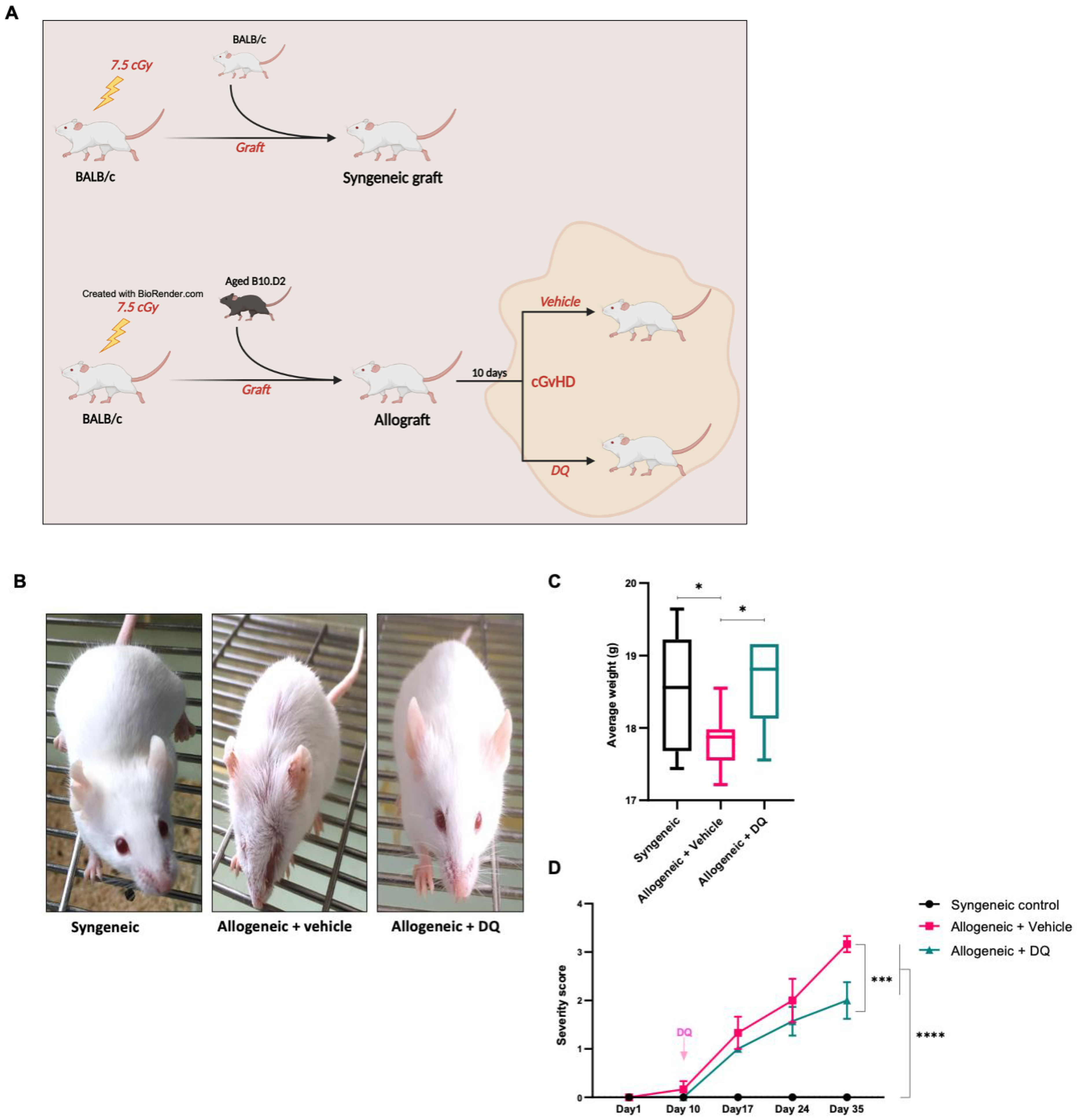Biology 12 00647 g001 Biology 12 00647 g001
