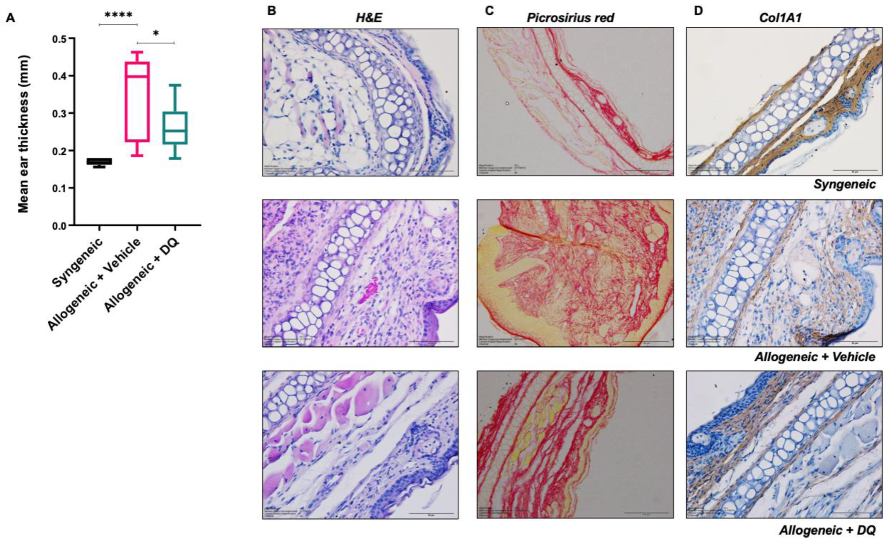 Biology 12 00647 g002a Biology 12 00647 g002a
