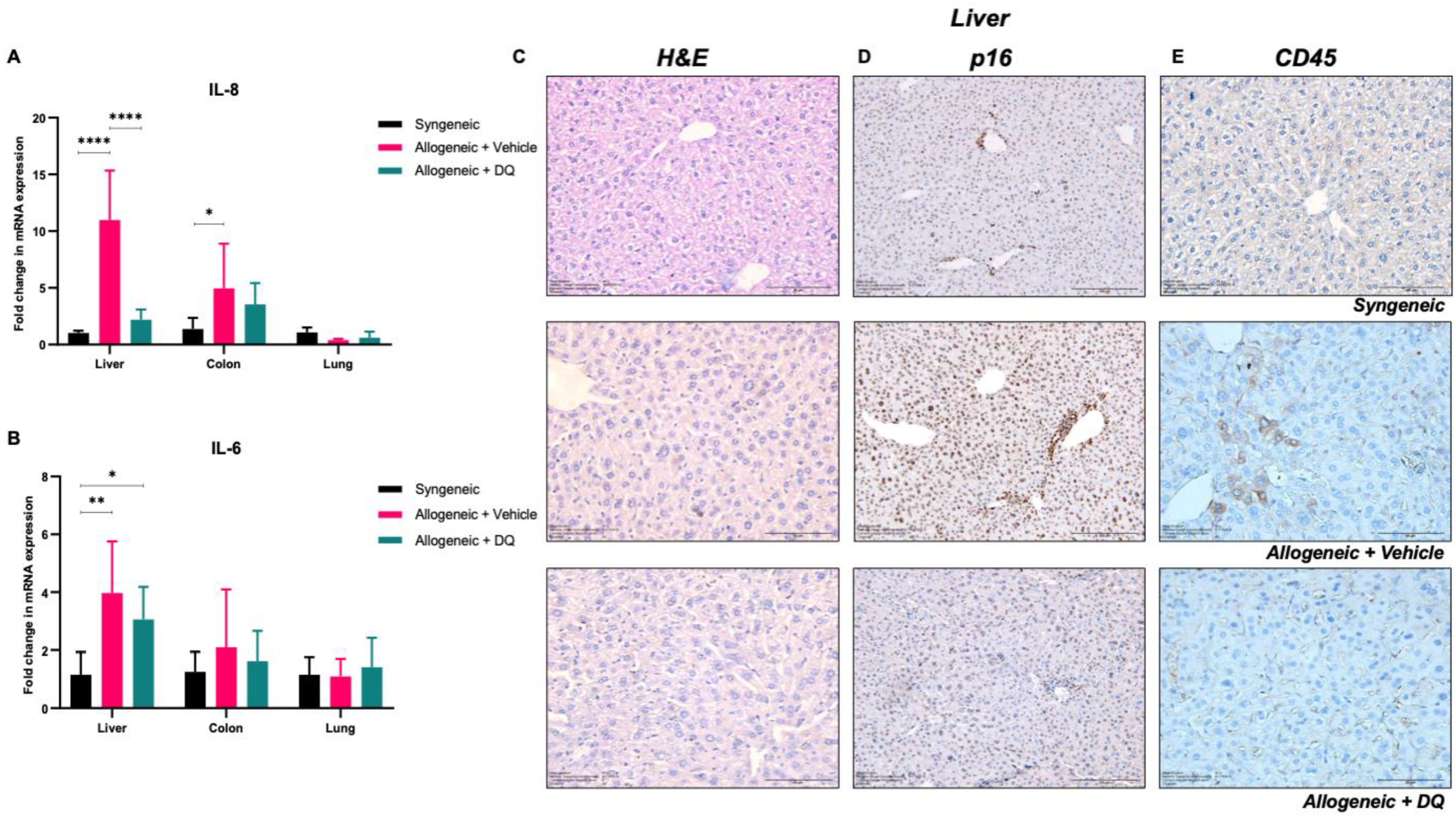 Biology 12 00647 g005 Biology 12 00647 g005
