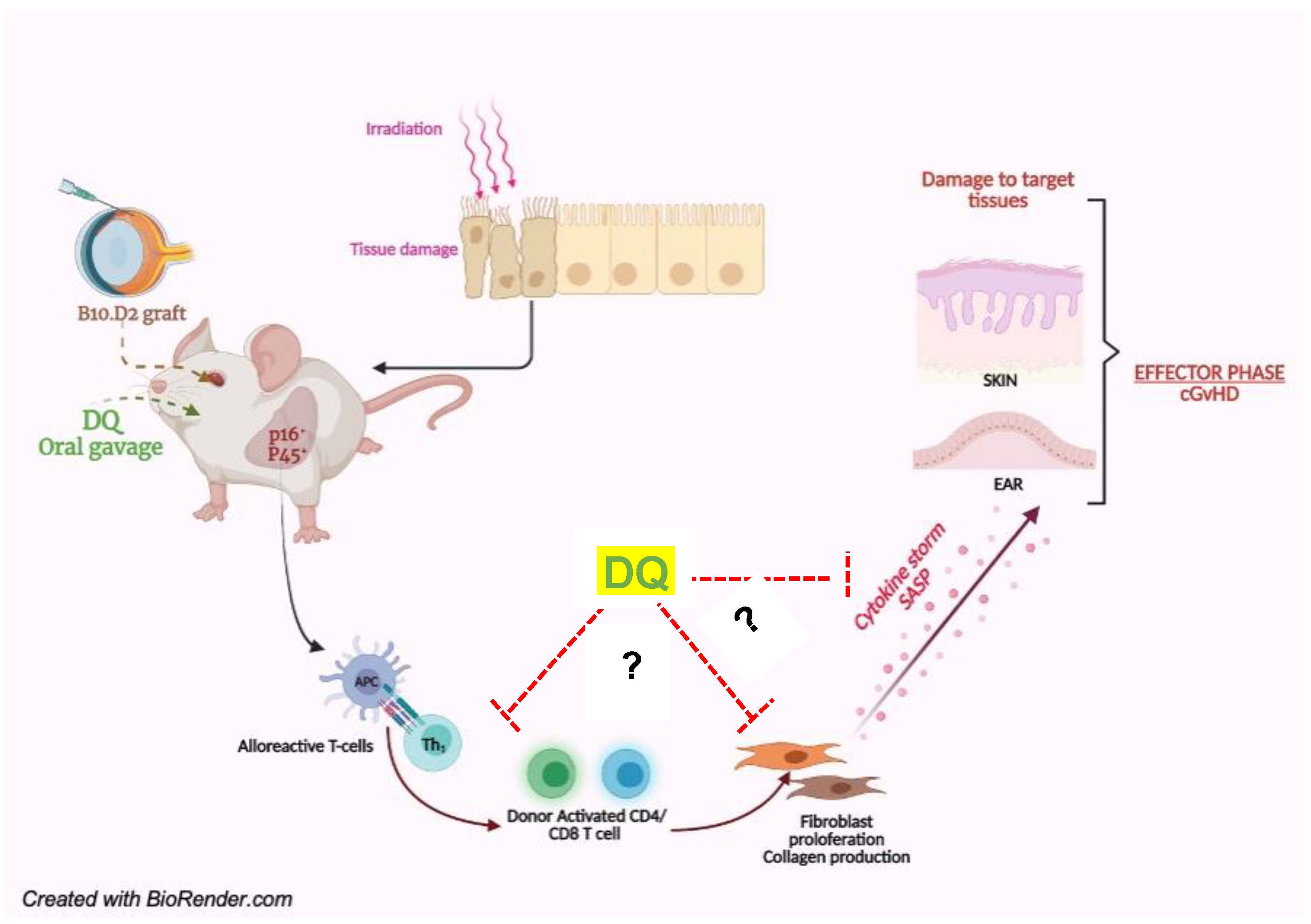 Biology 12 00647 g006 Biology 12 00647 g006