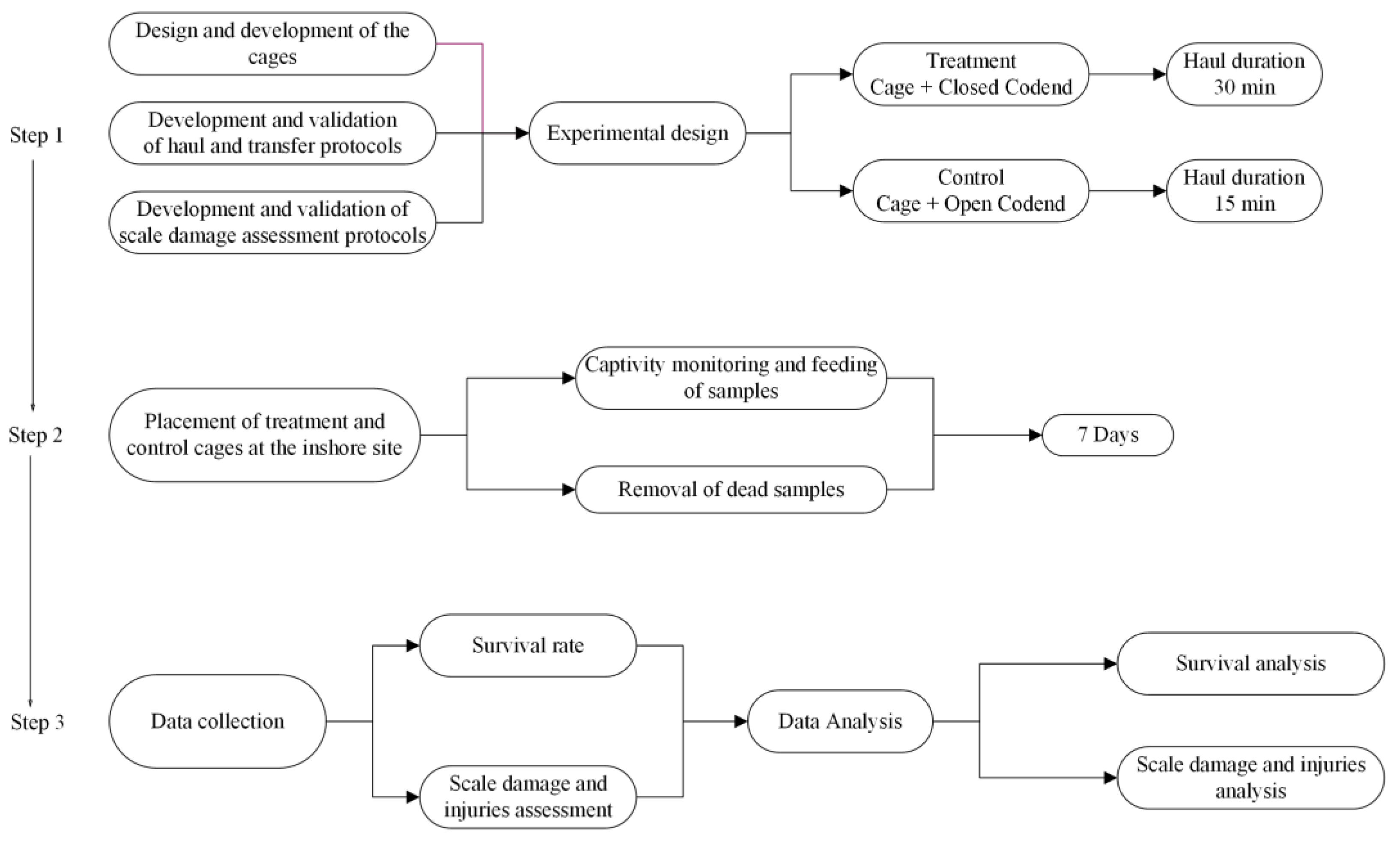 Biology 12 00649 g002
