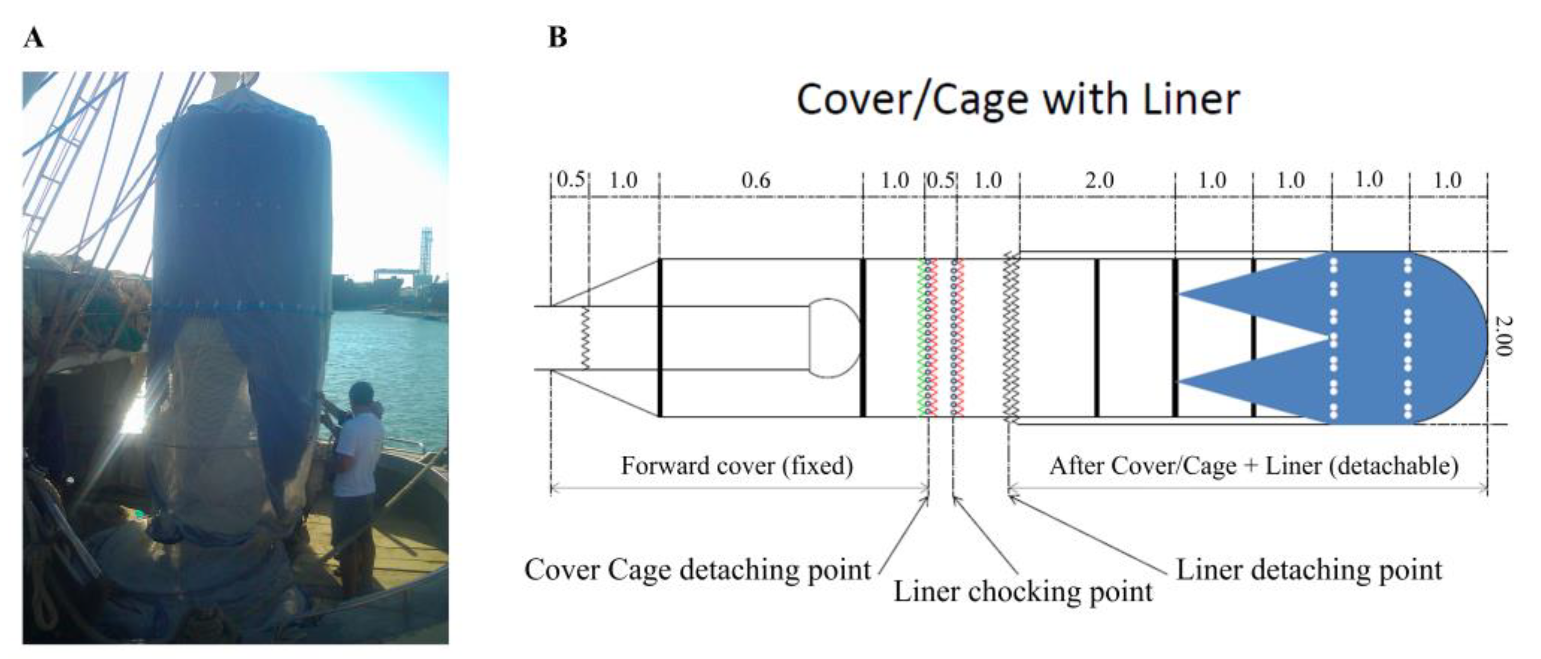 Biology 12 00649 g003