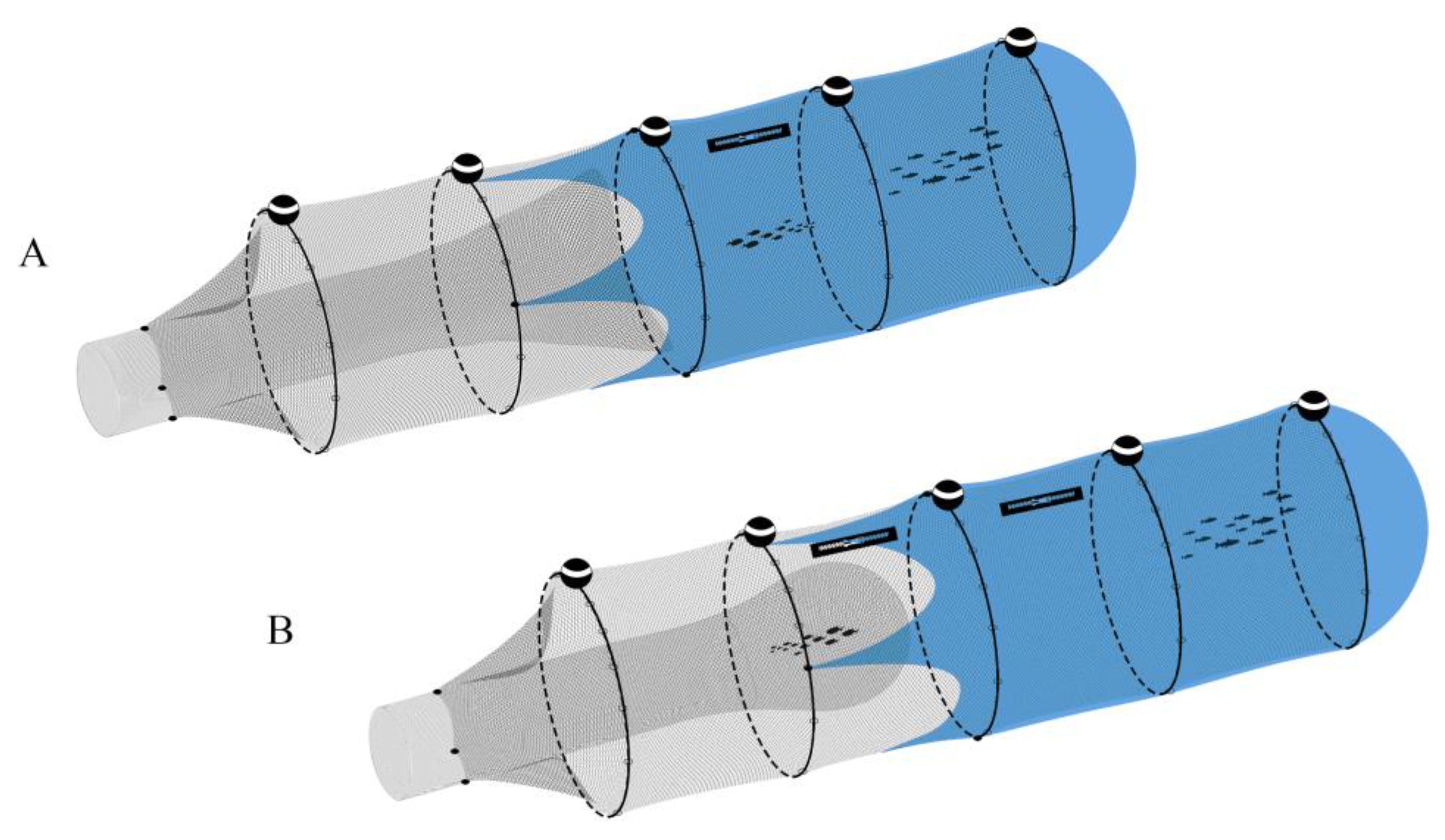 Biology 12 00649 g004