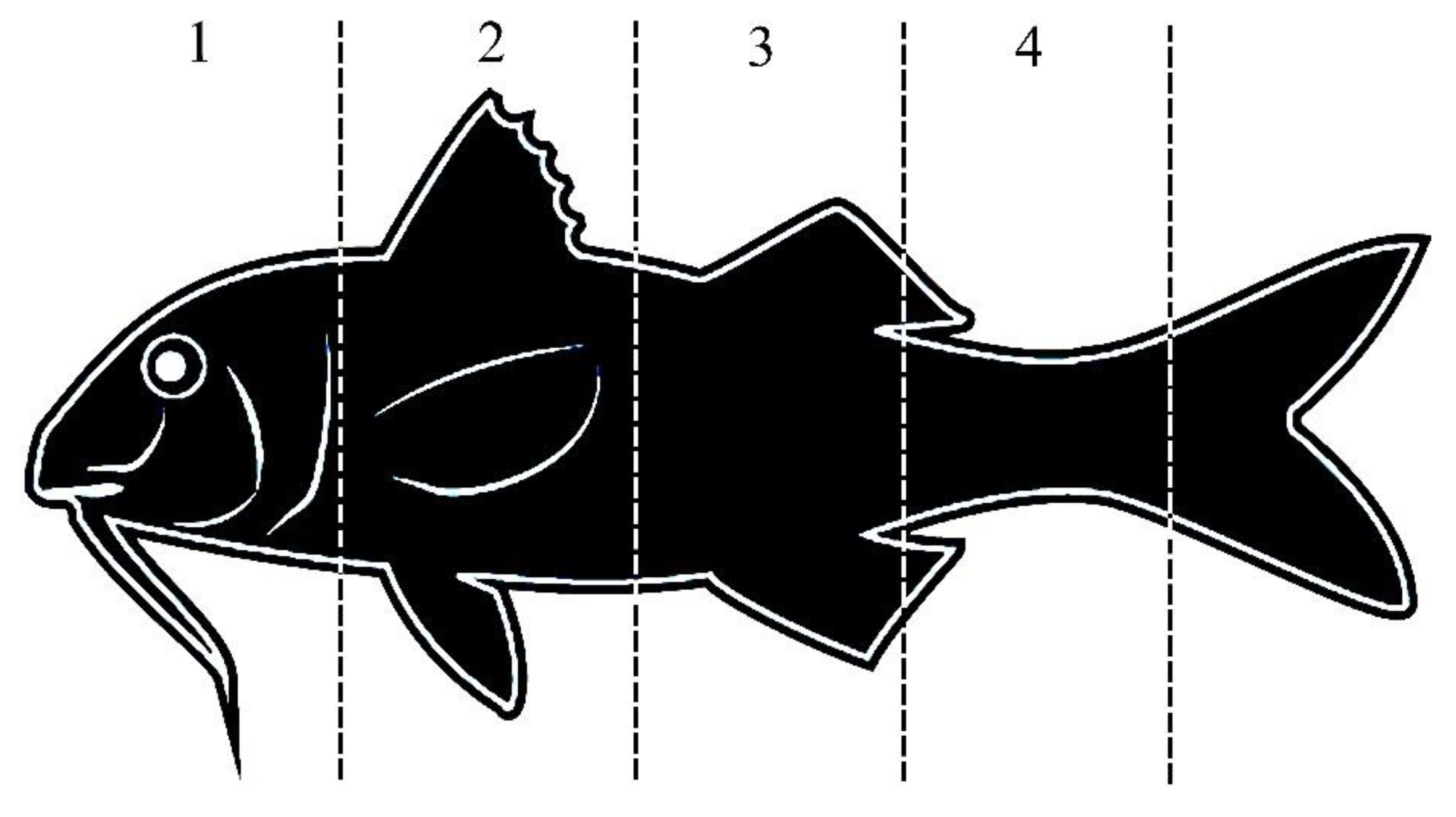 Biology 12 00649 g006