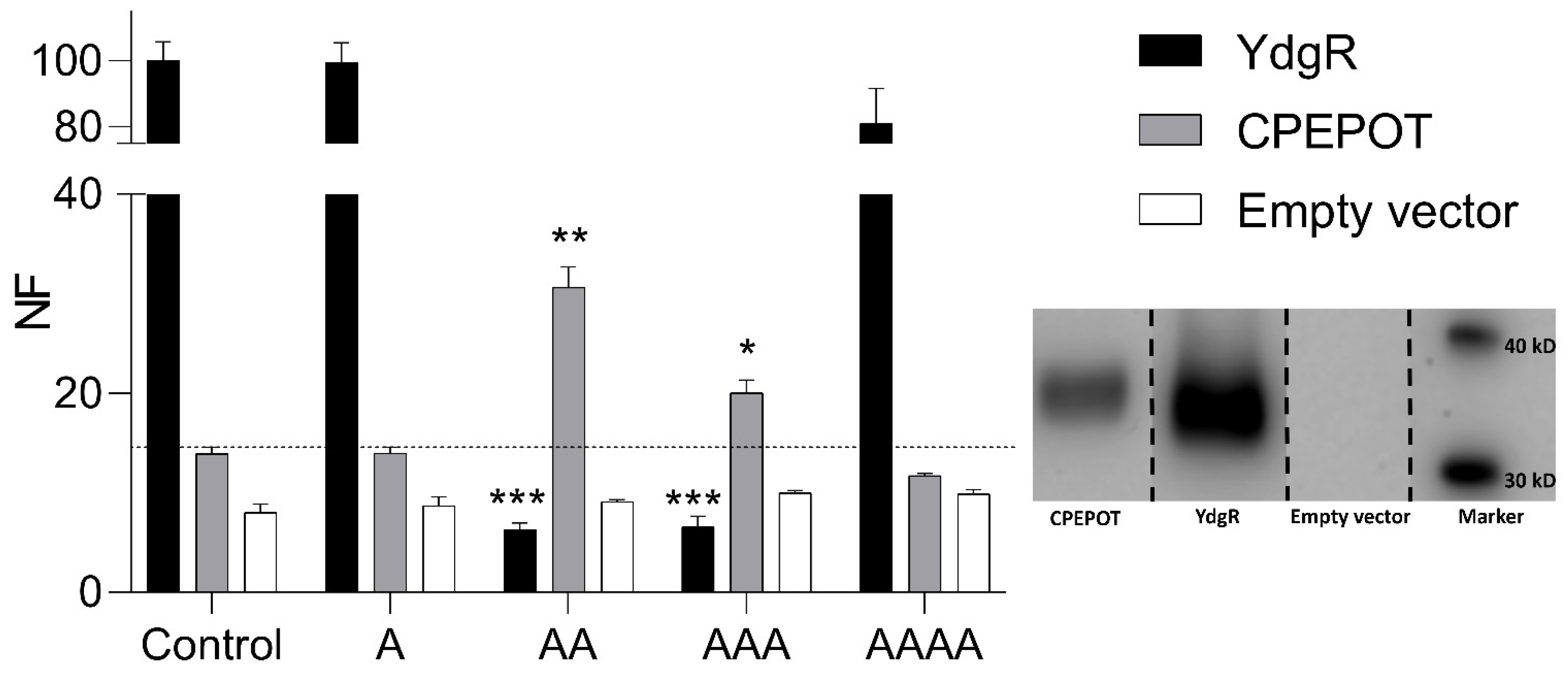 Biology 12 00651 g001 Biology 12 00651 g001
