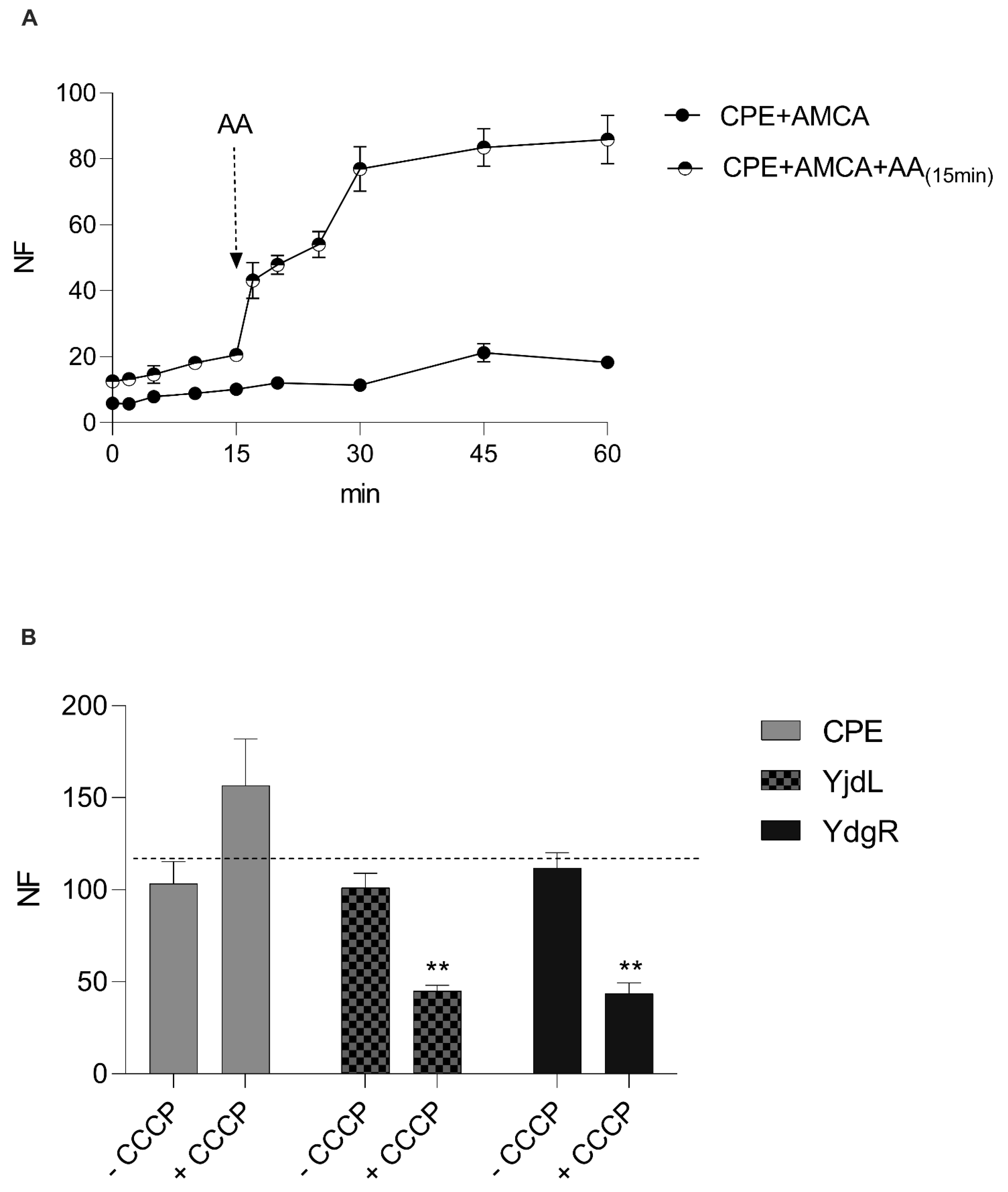Biology 12 00651 g003 Biology 12 00651 g003