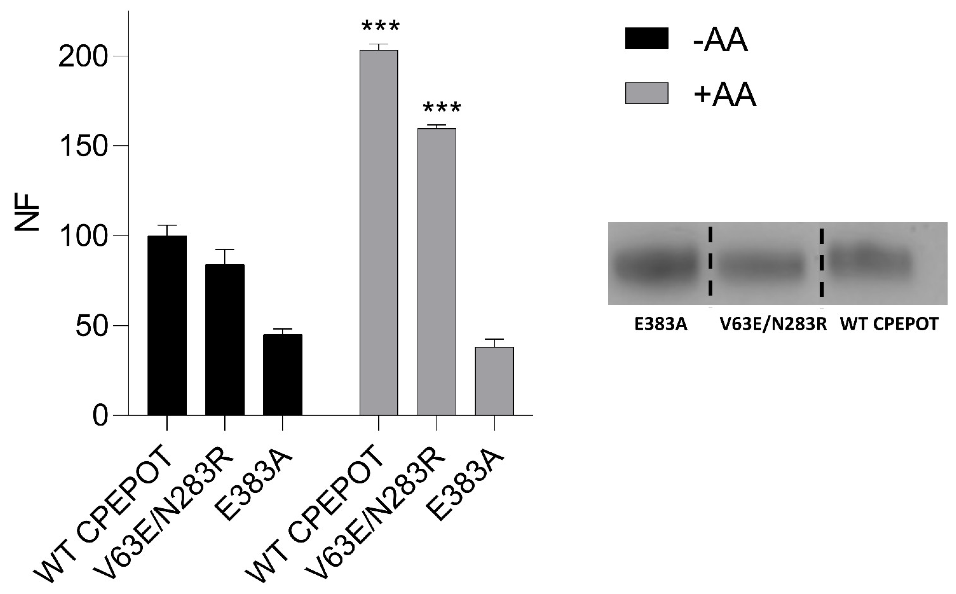 Biology 12 00651 g005 Biology 12 00651 g005