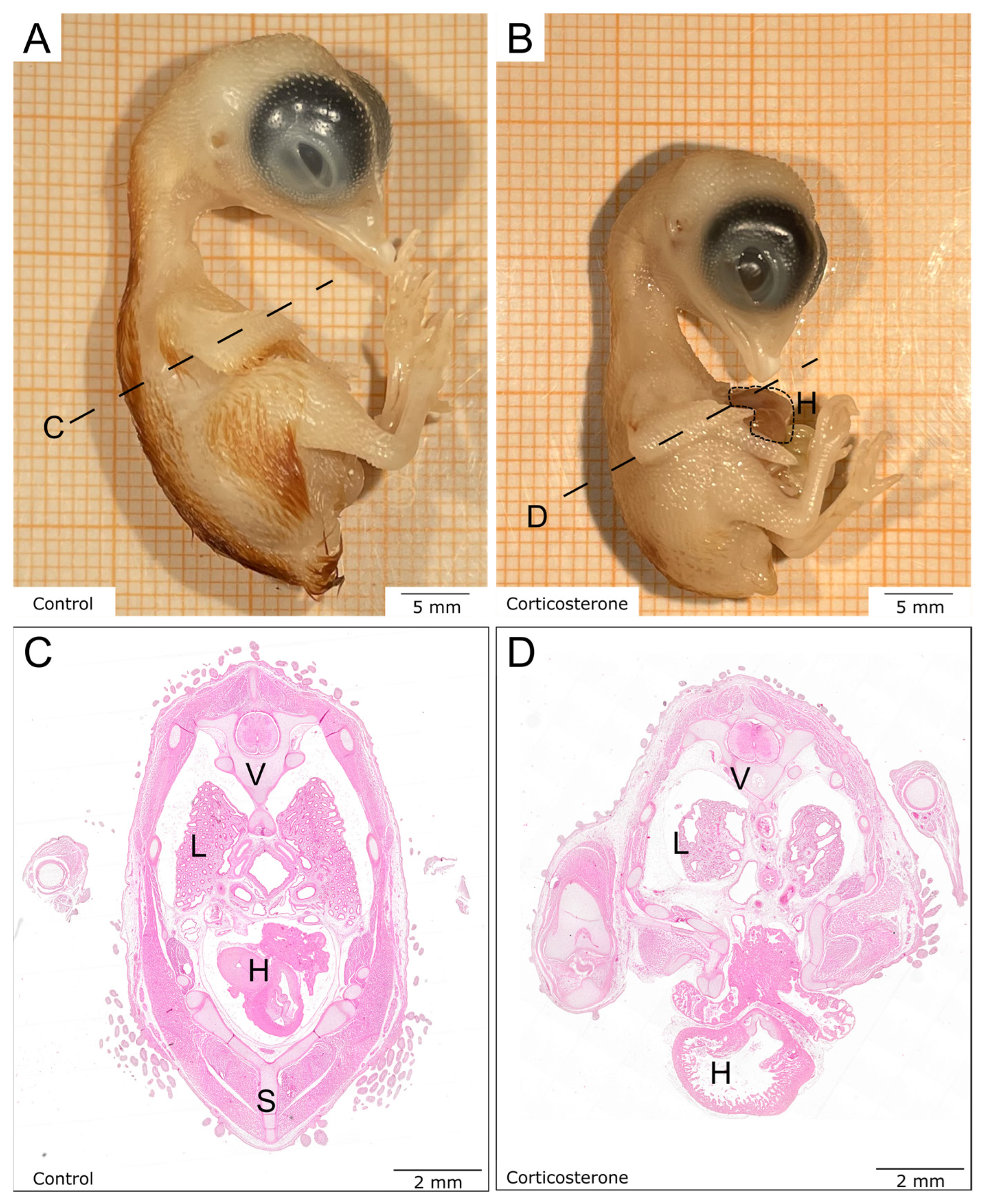 Biology 12 00656 g001 Biology 12 00656 g001