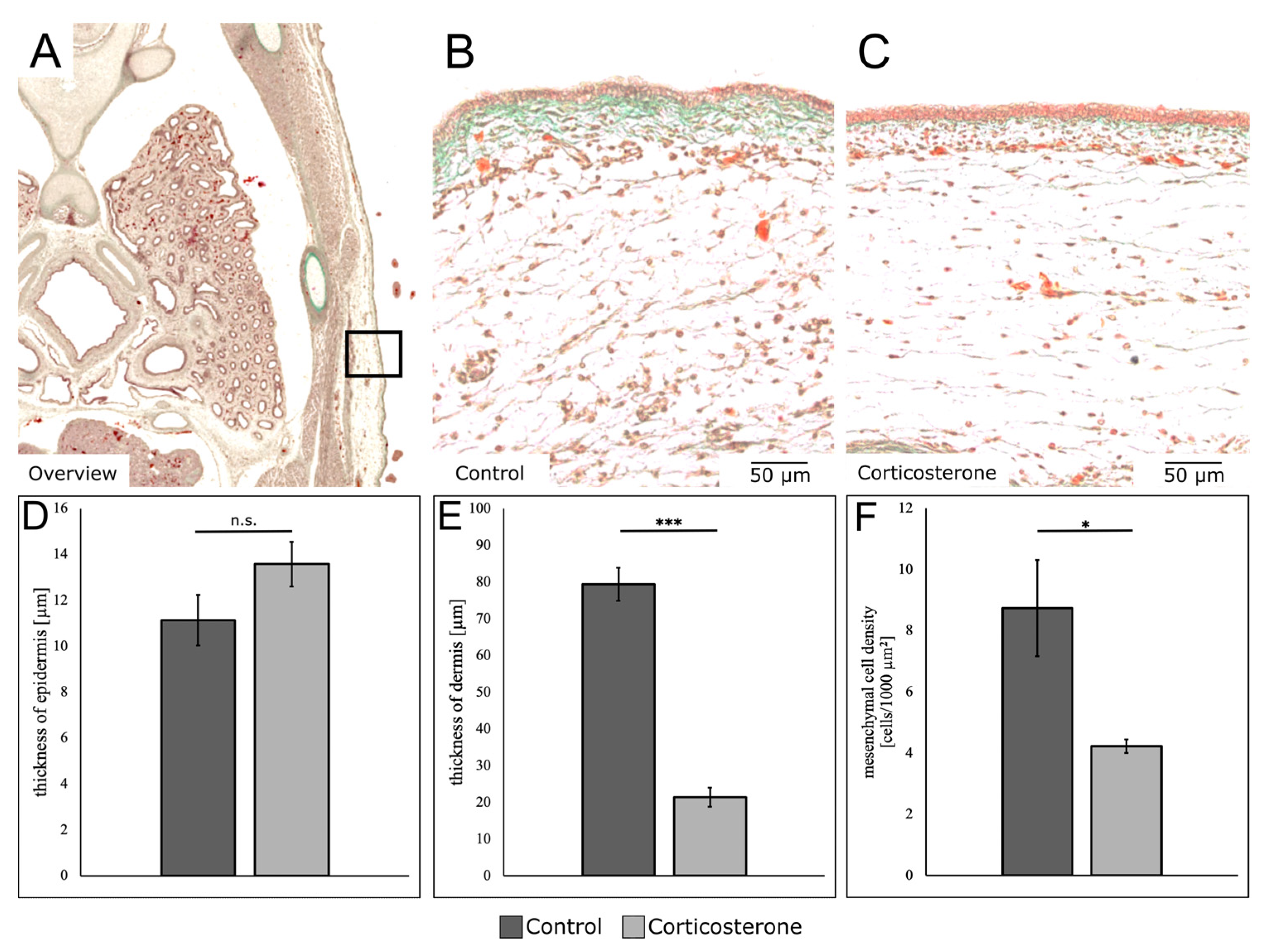 Biology 12 00656 g003 Biology 12 00656 g003