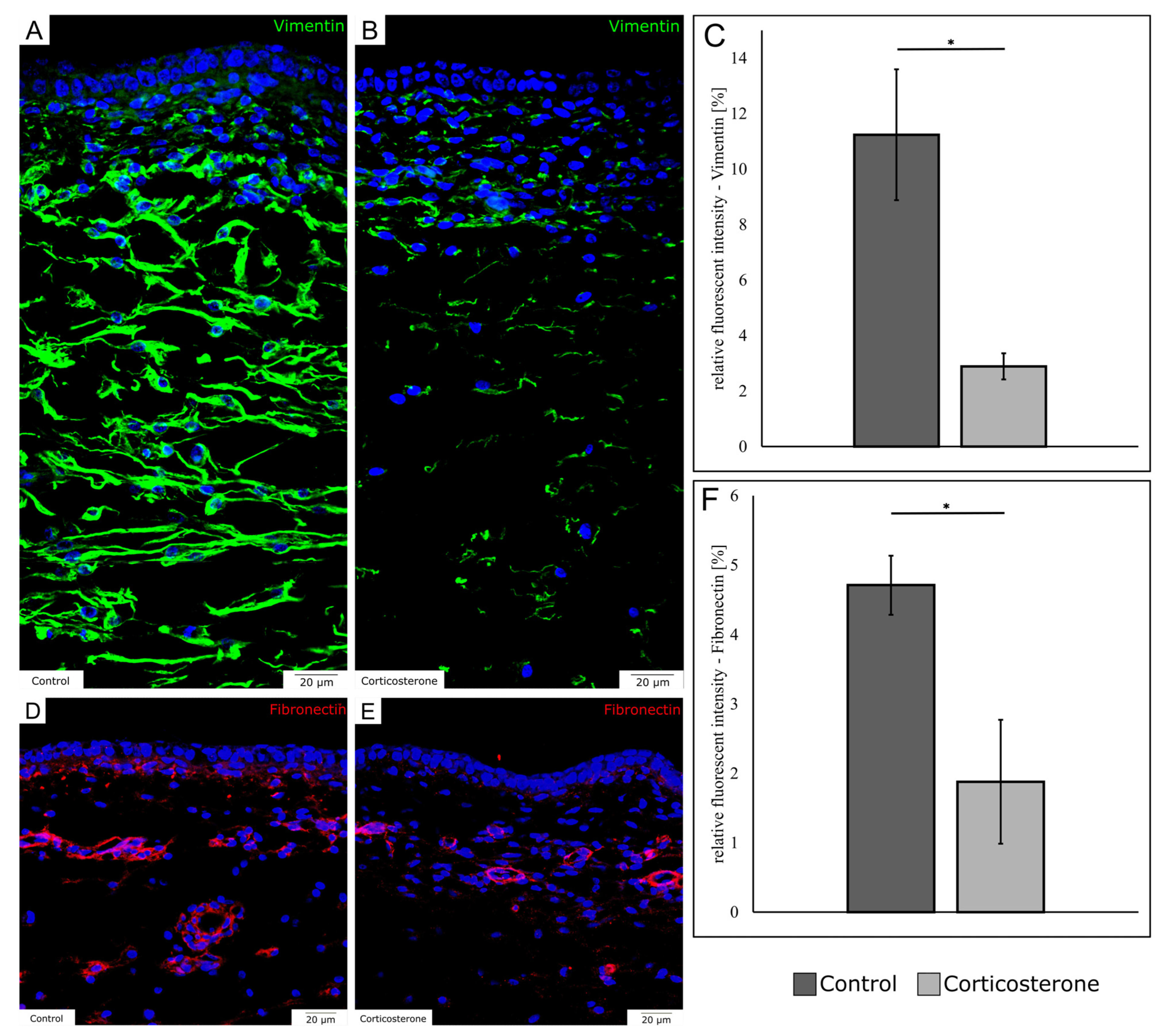 Biology 12 00656 g004 Biology 12 00656 g004