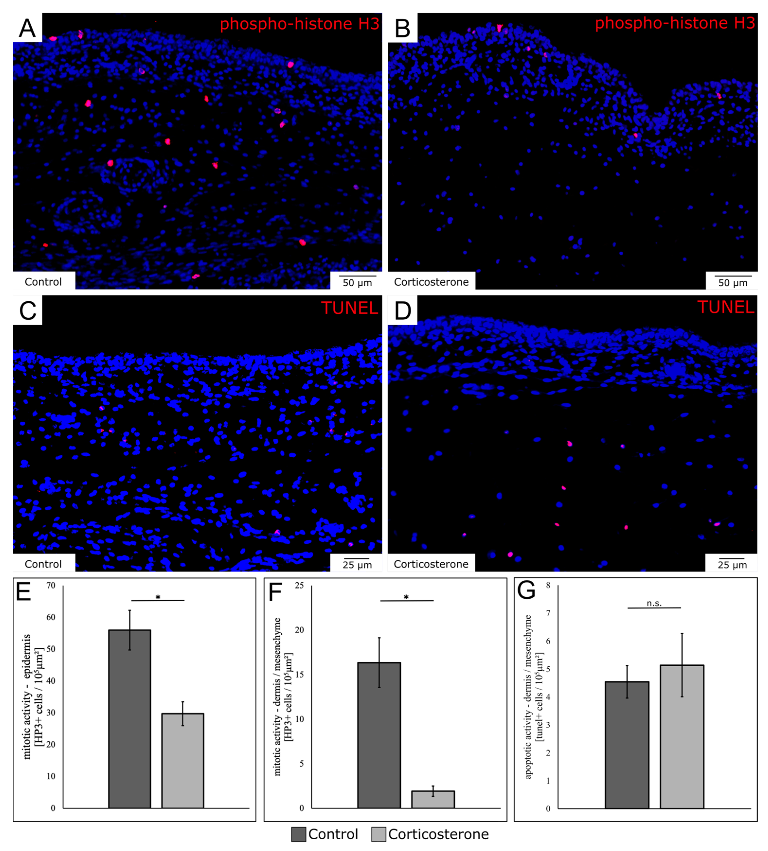 Biology 12 00656 g005 Biology 12 00656 g005