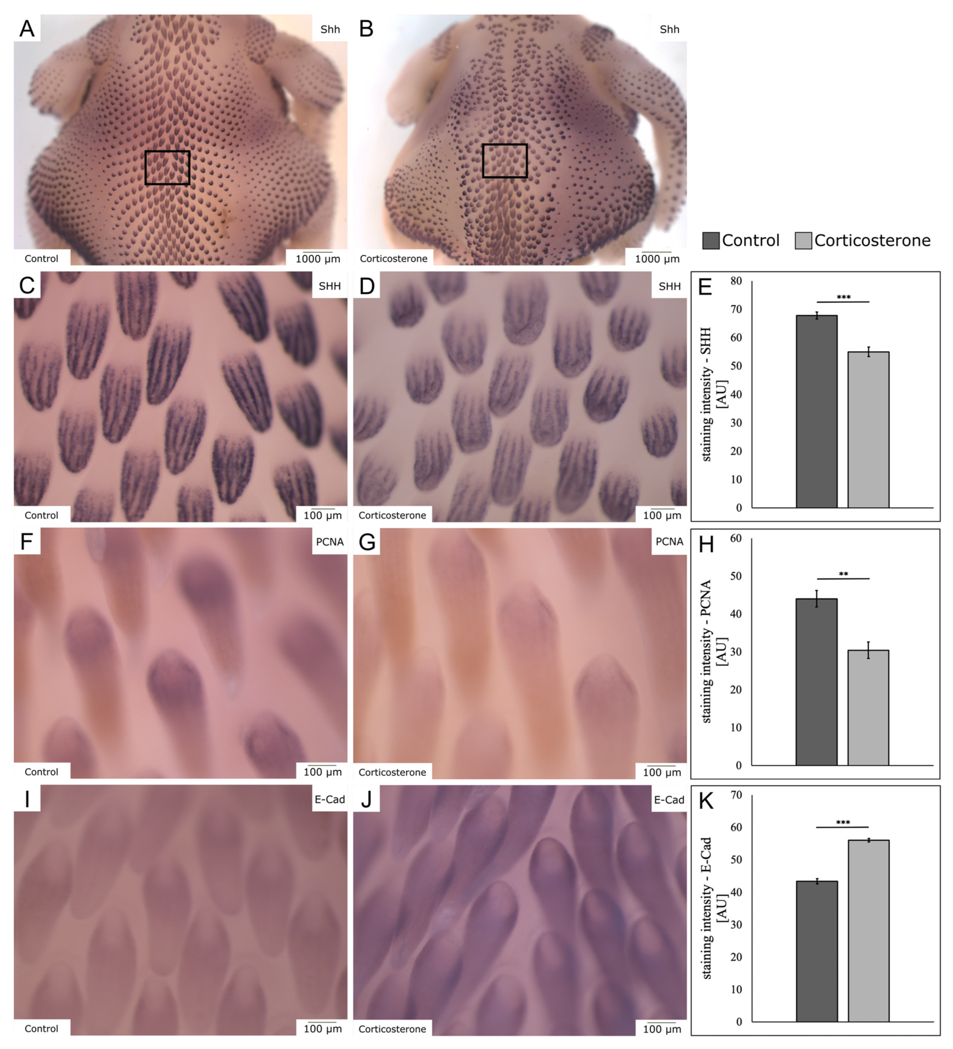 Biology 12 00656 g006 Biology 12 00656 g006