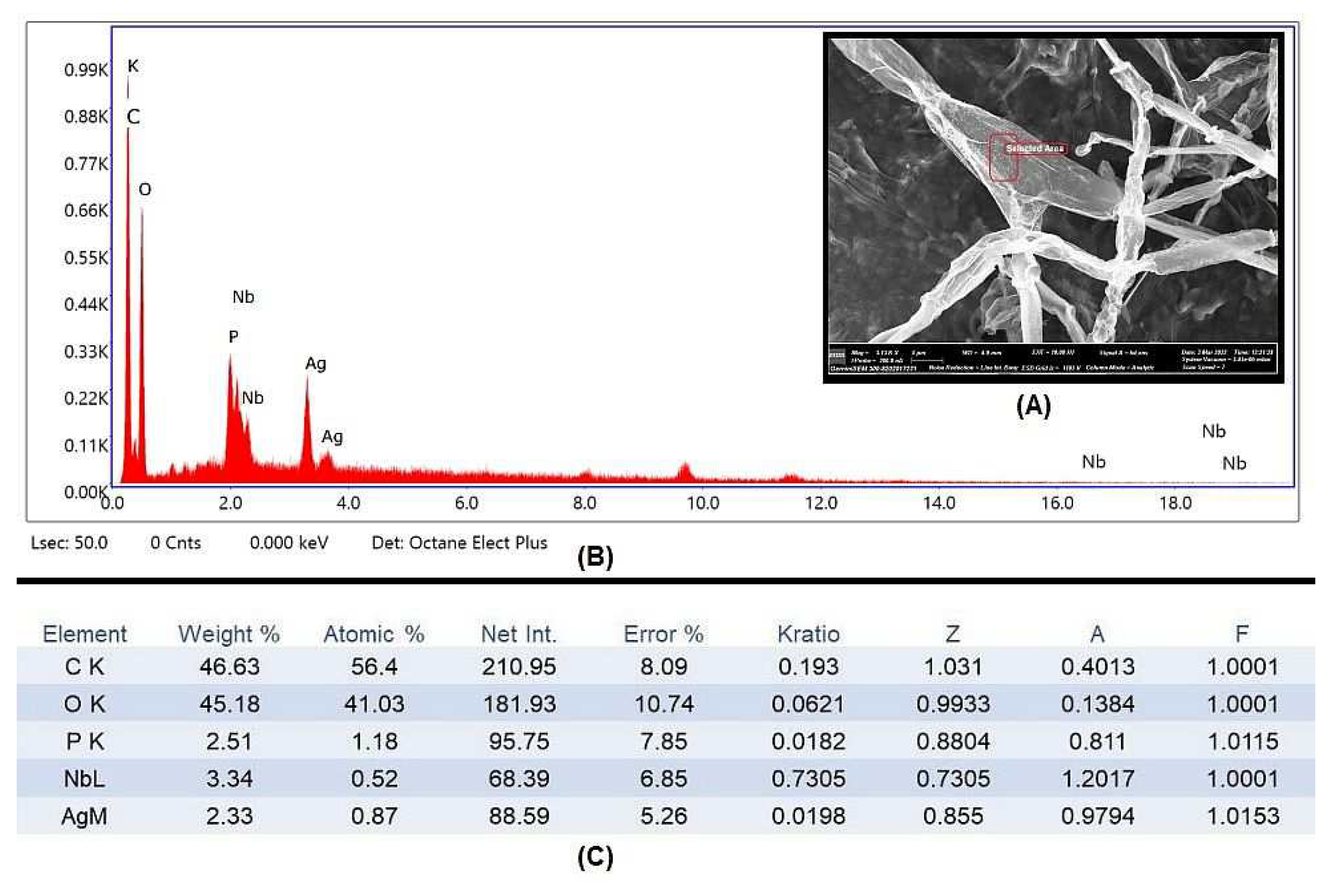 Biology 12 00661 g007