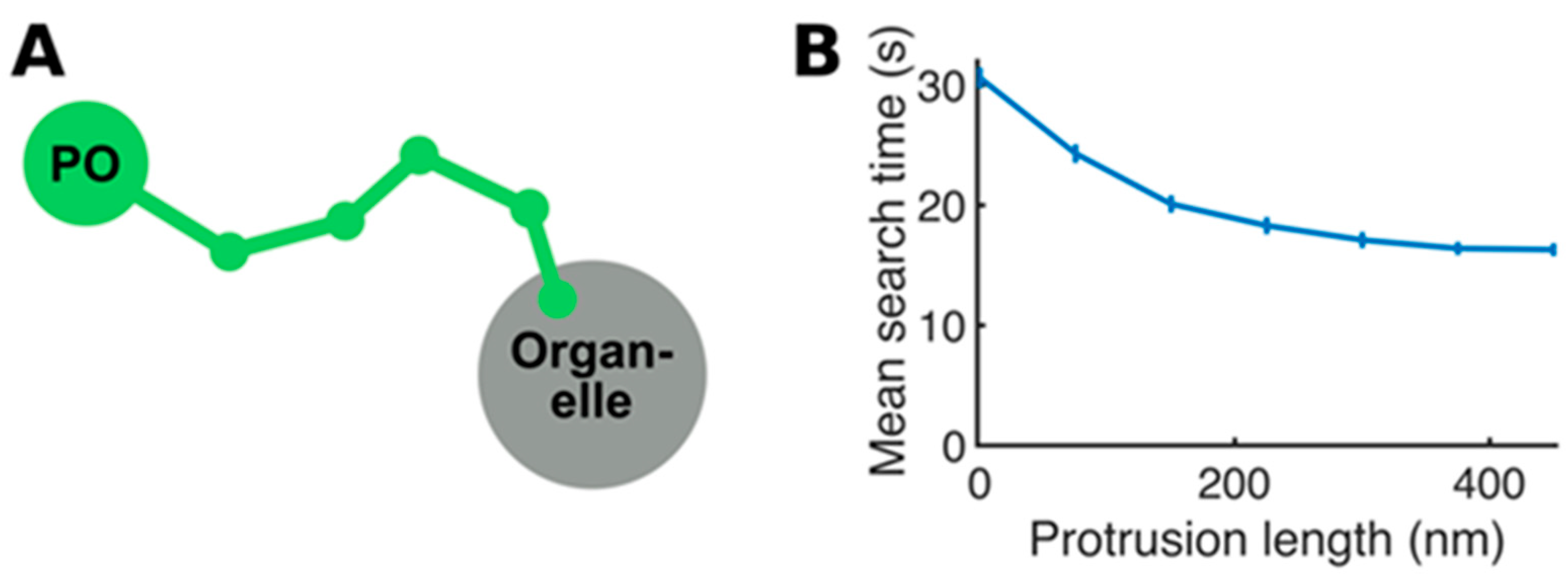 Biology 12 00664 g004
