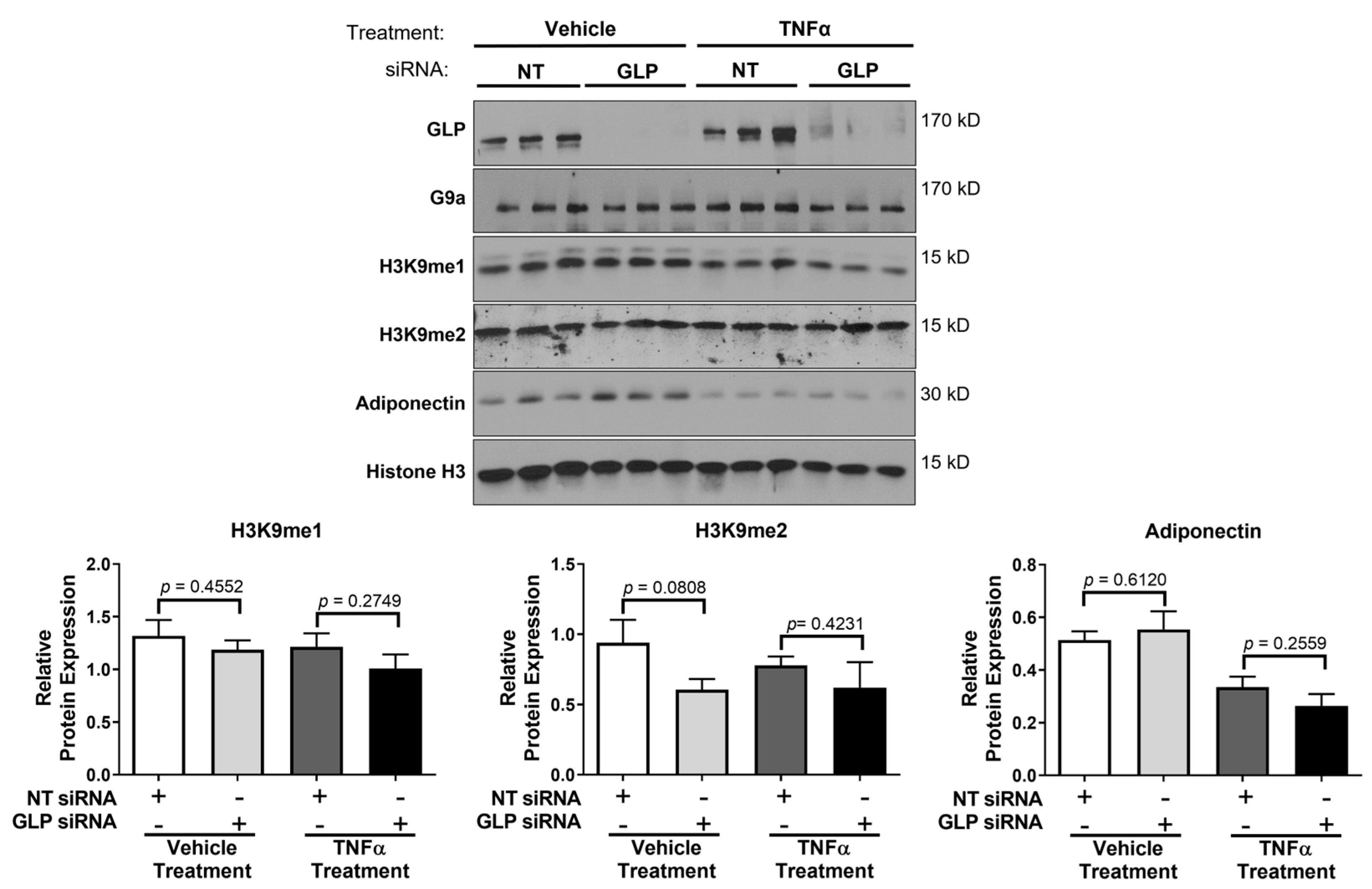 Biology 12 00674 g002