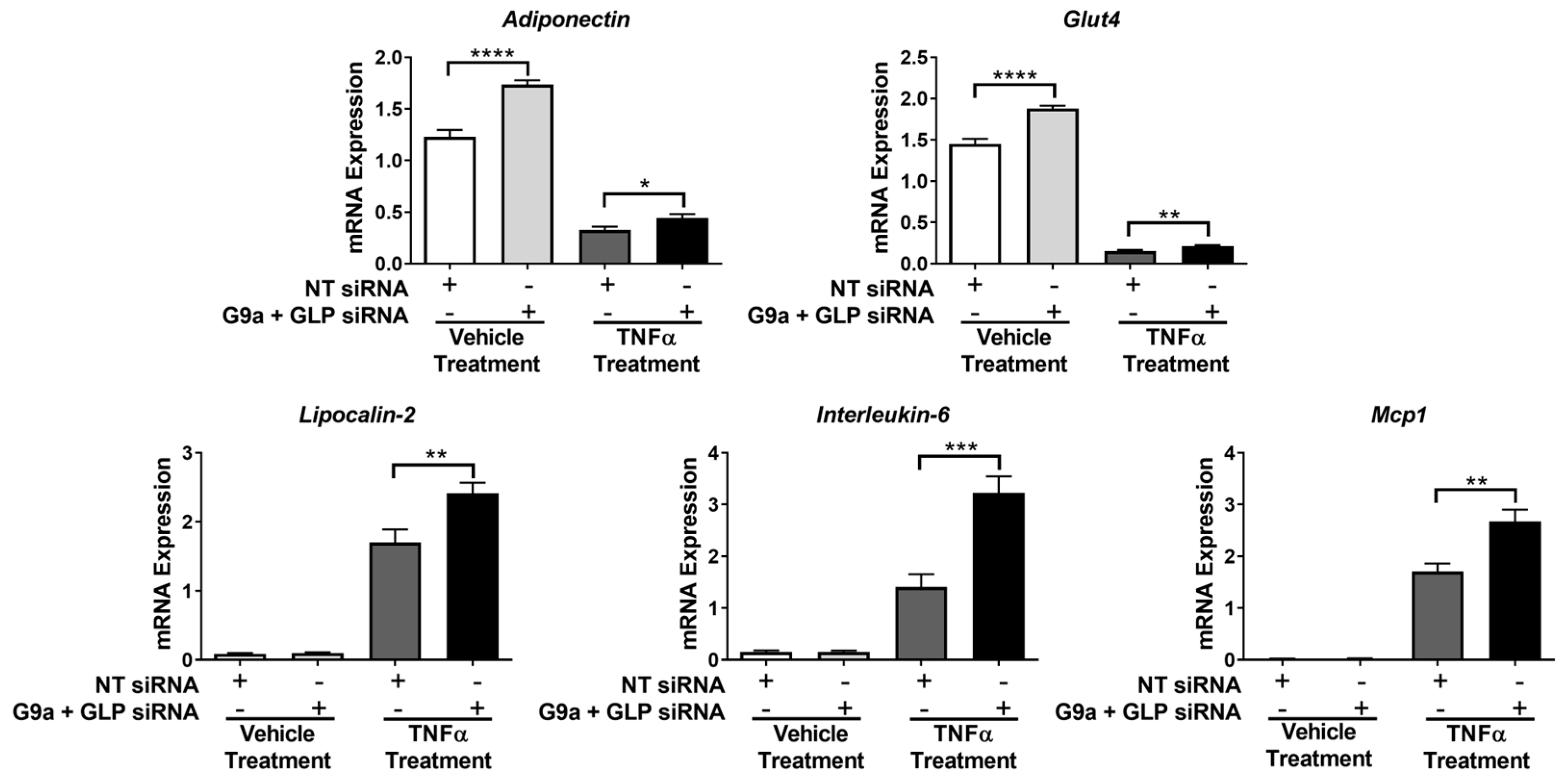 Biology 12 00674 g006