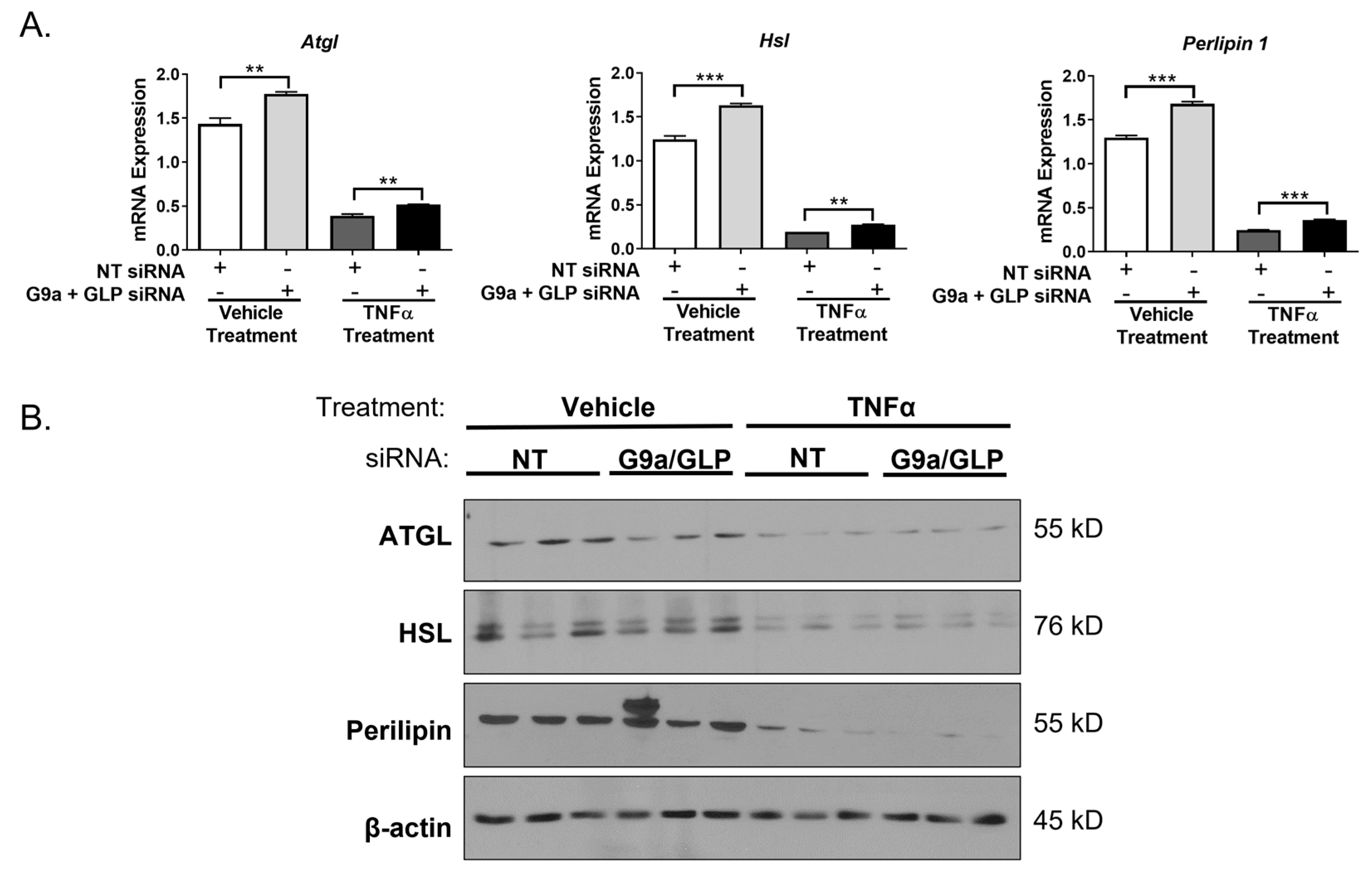Biology 12 00674 g008