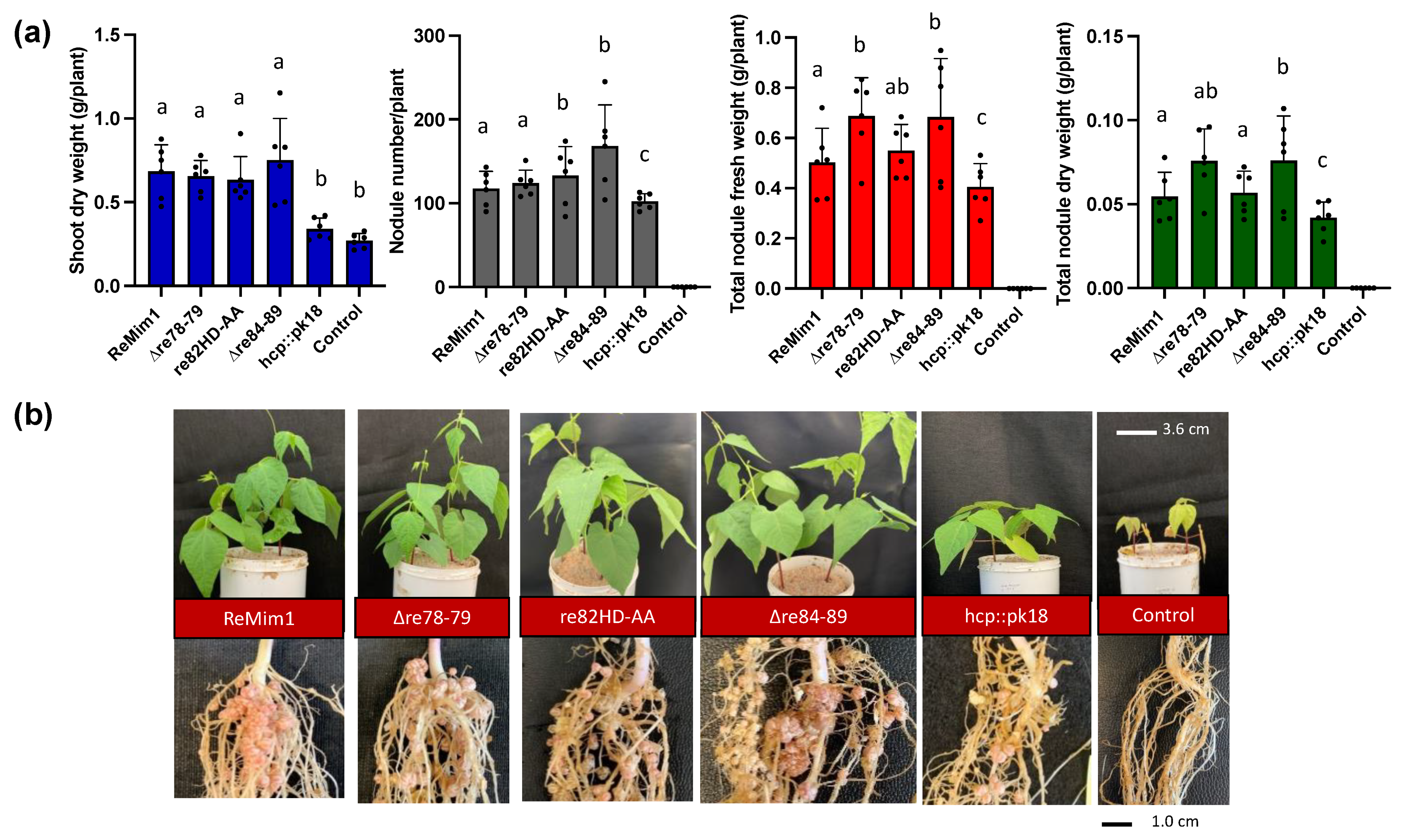 Biology 12 00678 g002 Biology 12 00678 g002