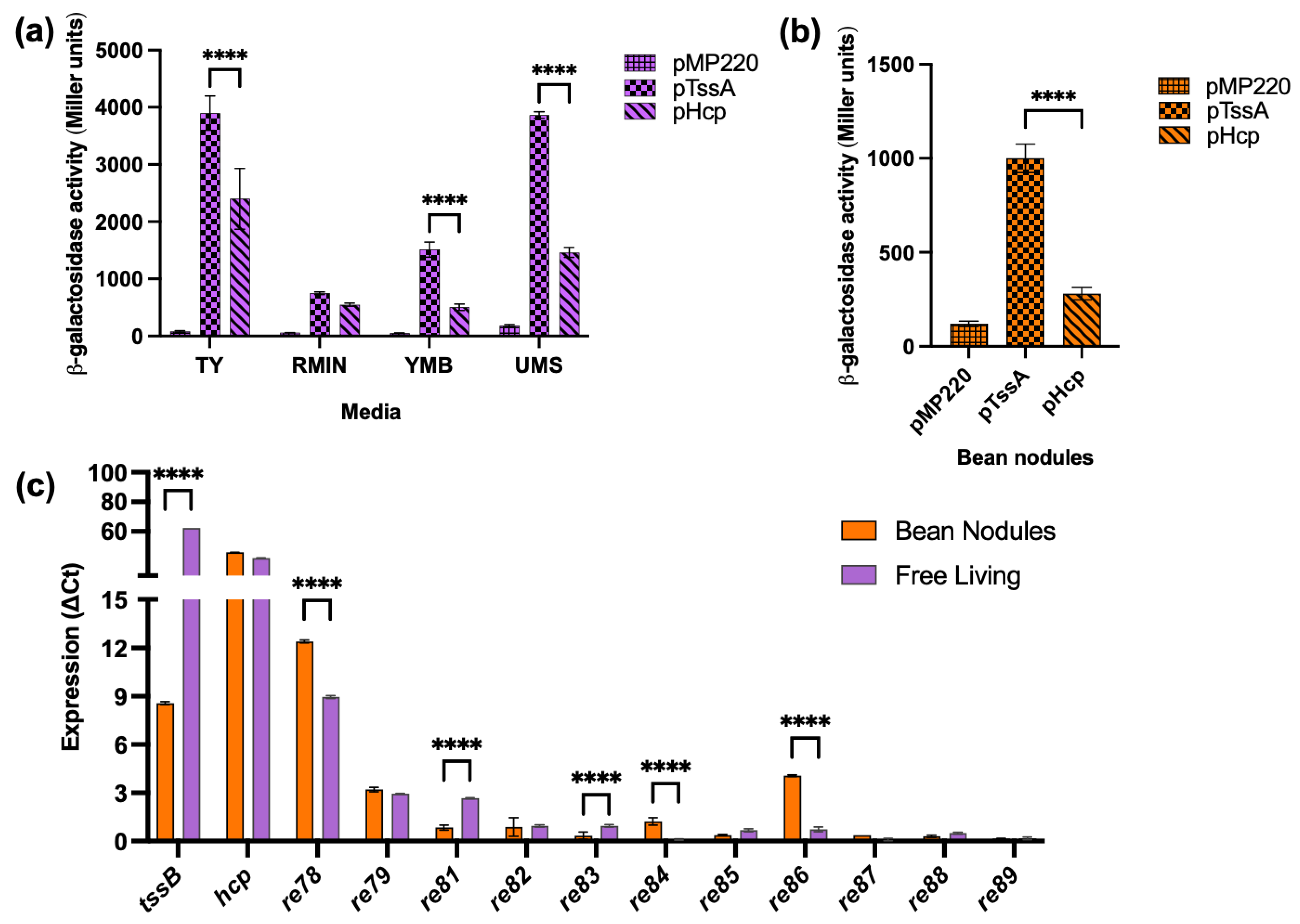Biology 12 00678 g003 Biology 12 00678 g003