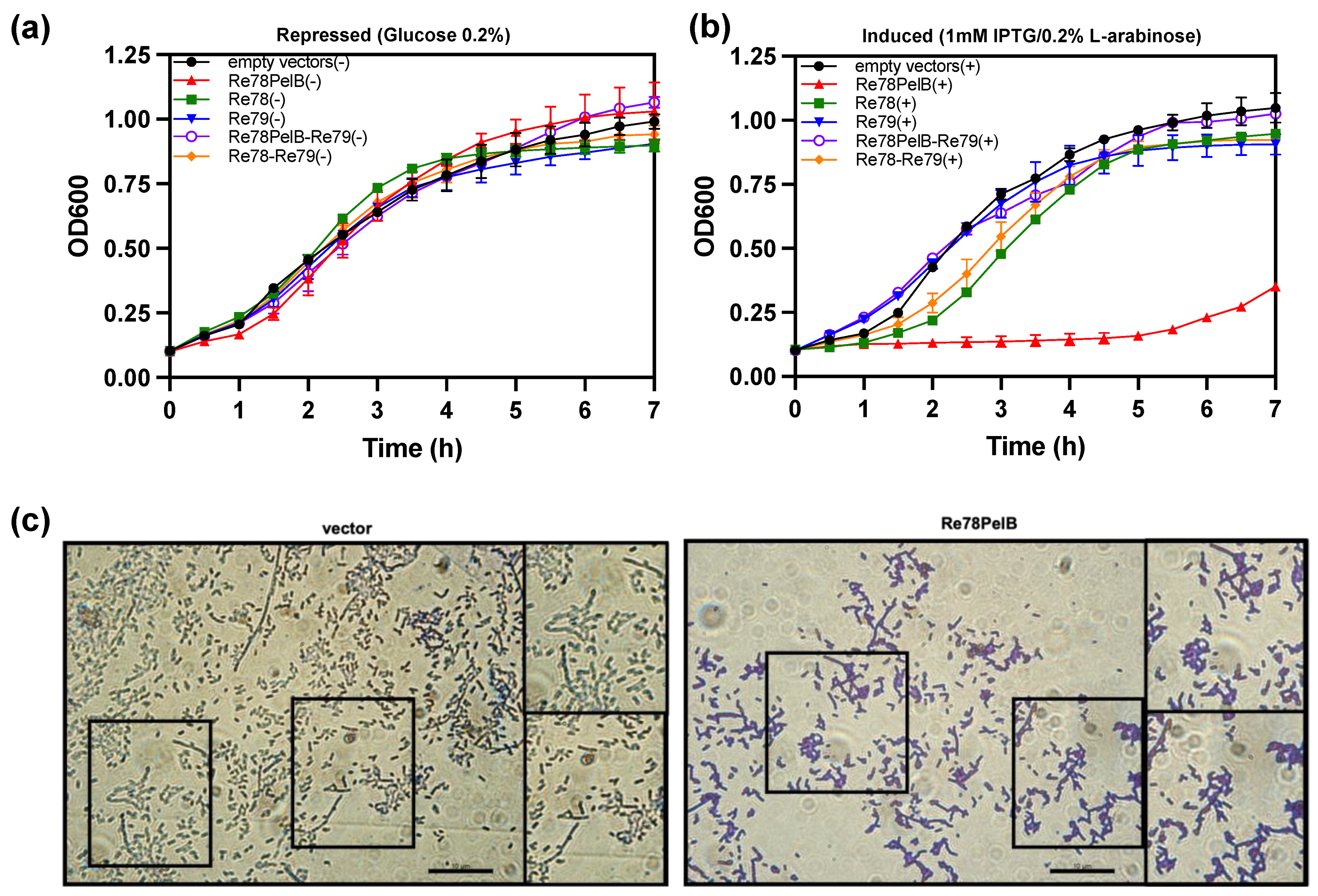 Biology 12 00678 g005 Biology 12 00678 g005
