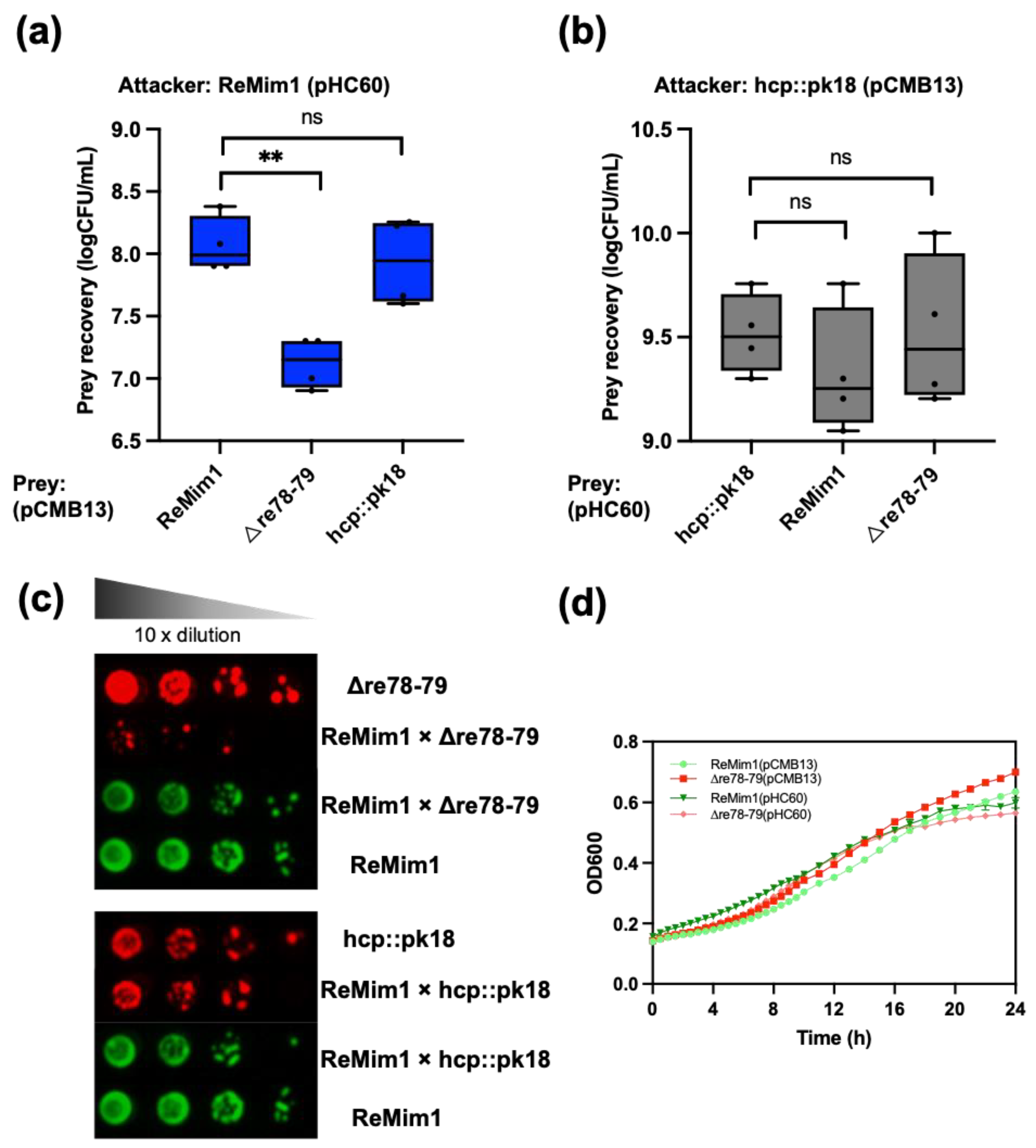 Biology 12 00678 g006 Biology 12 00678 g006