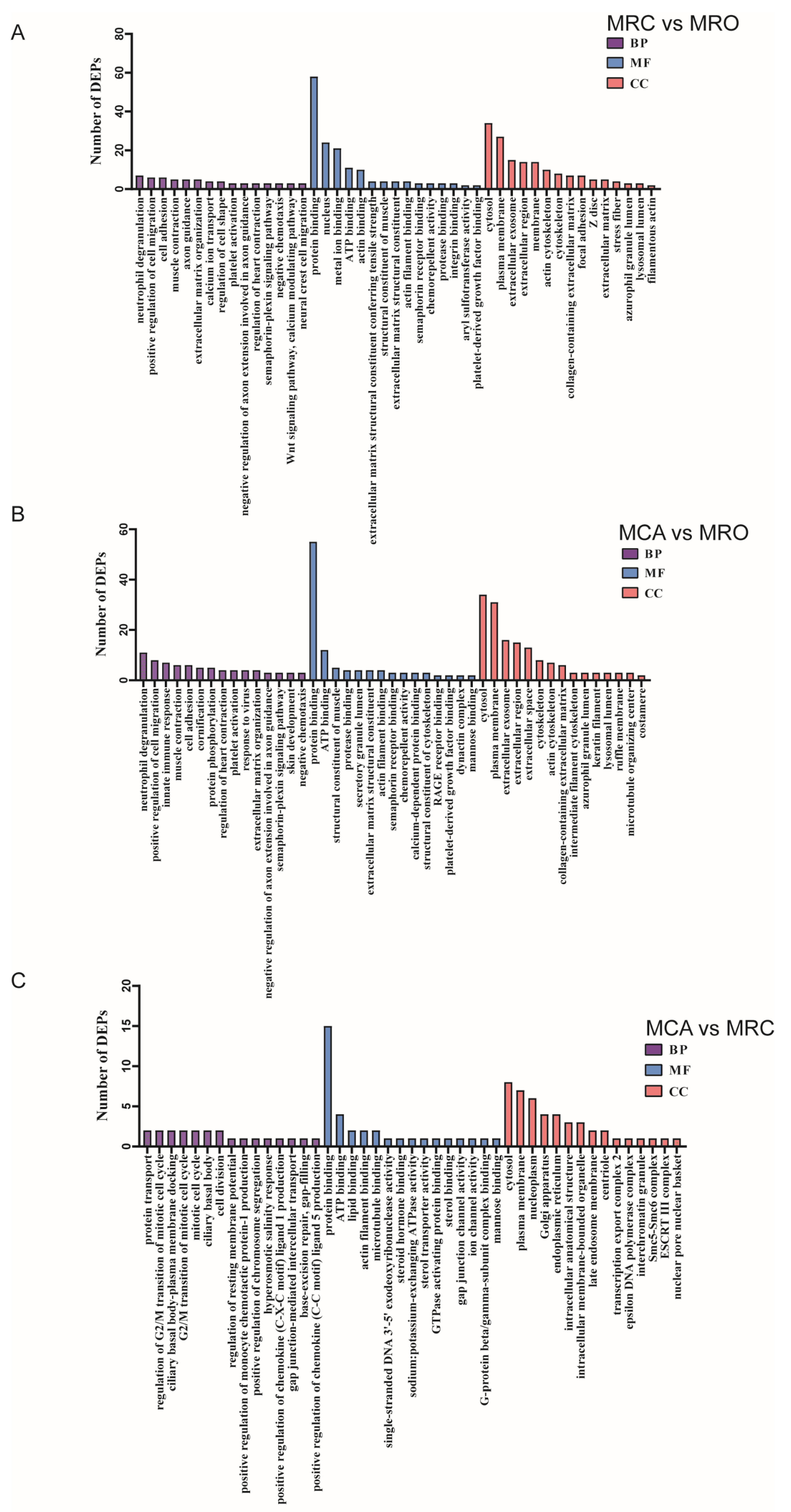 Biology 12 00684 g003