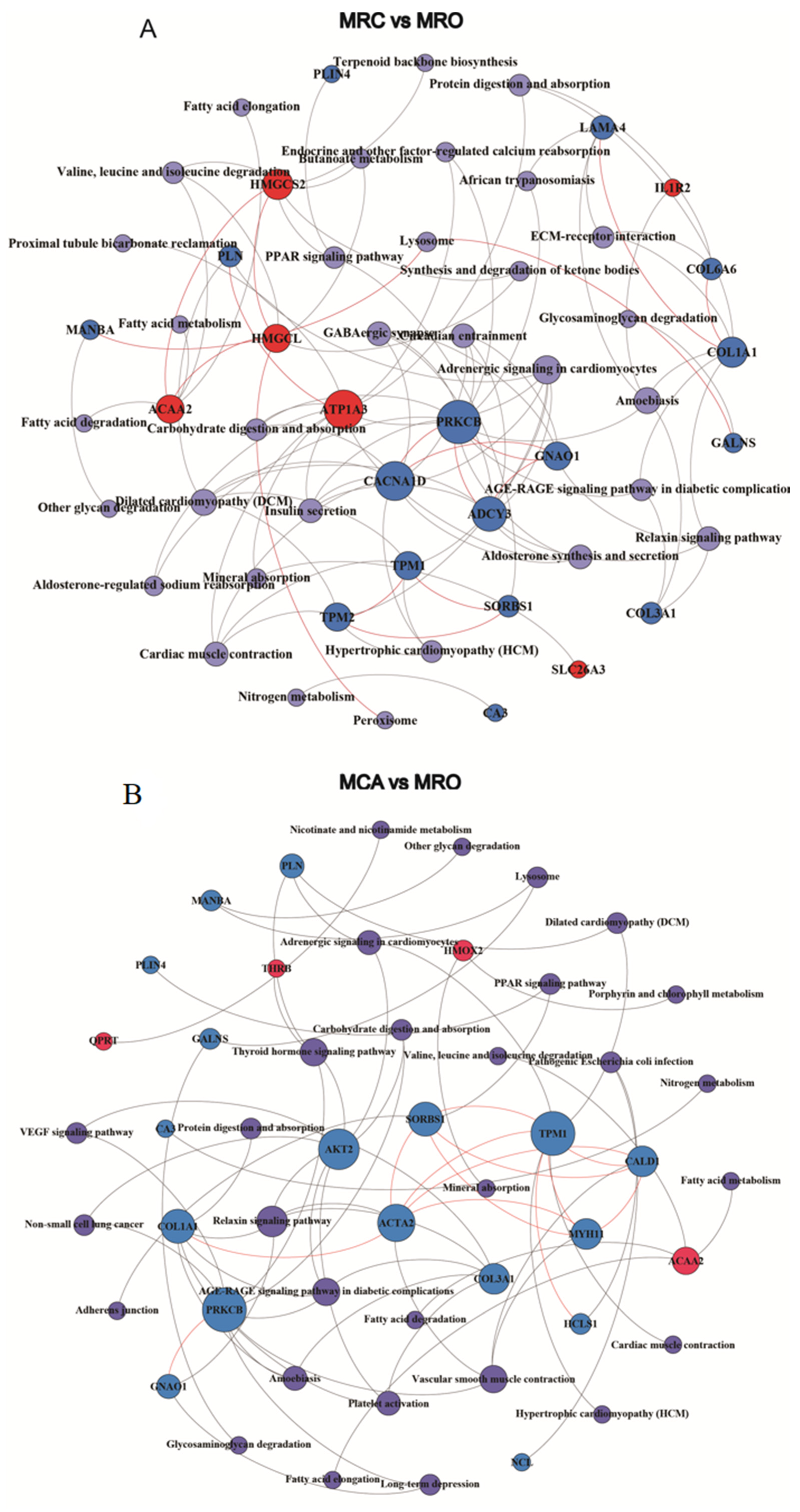 Biology 12 00684 g005