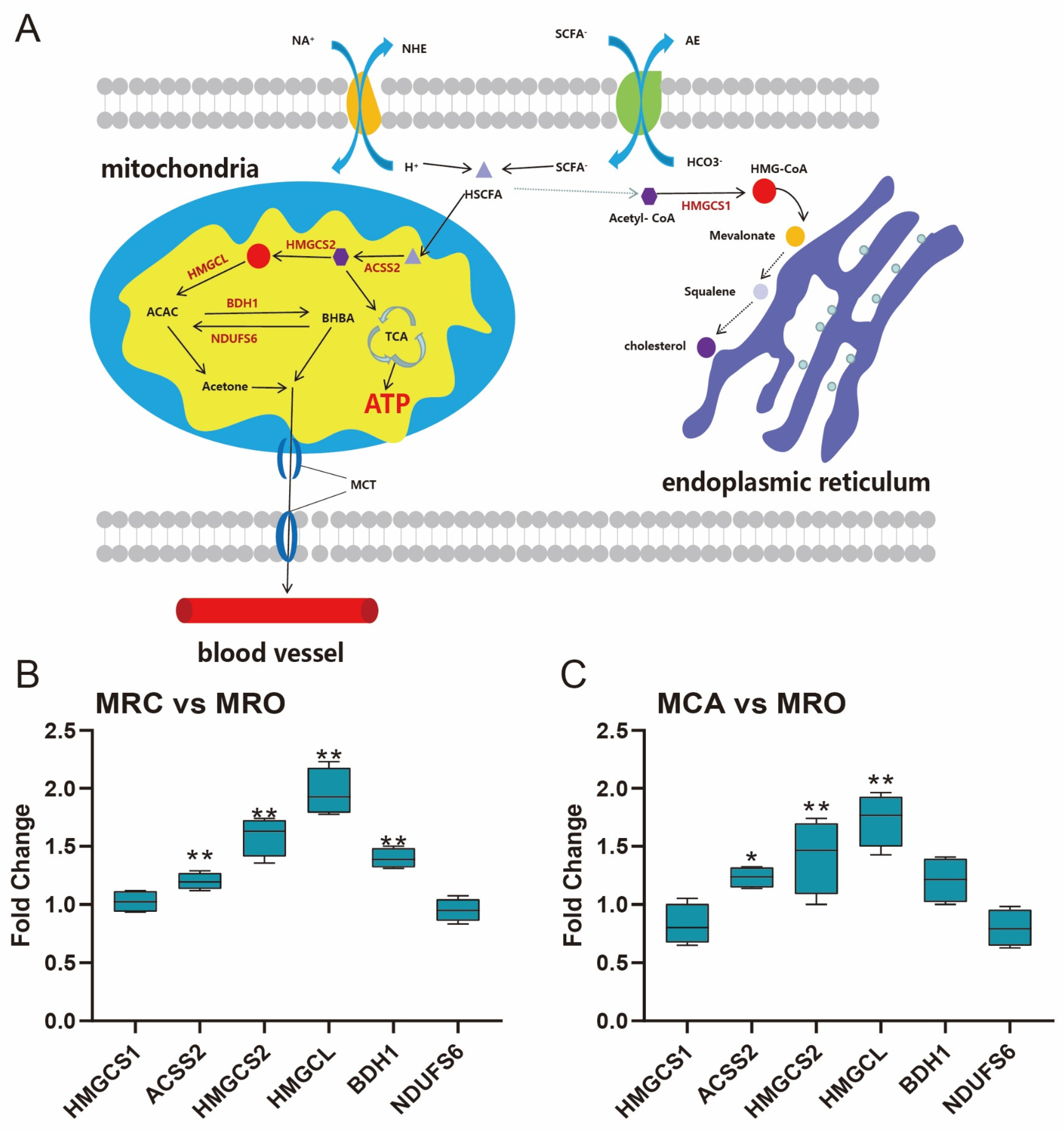 Biology 12 00684 g006