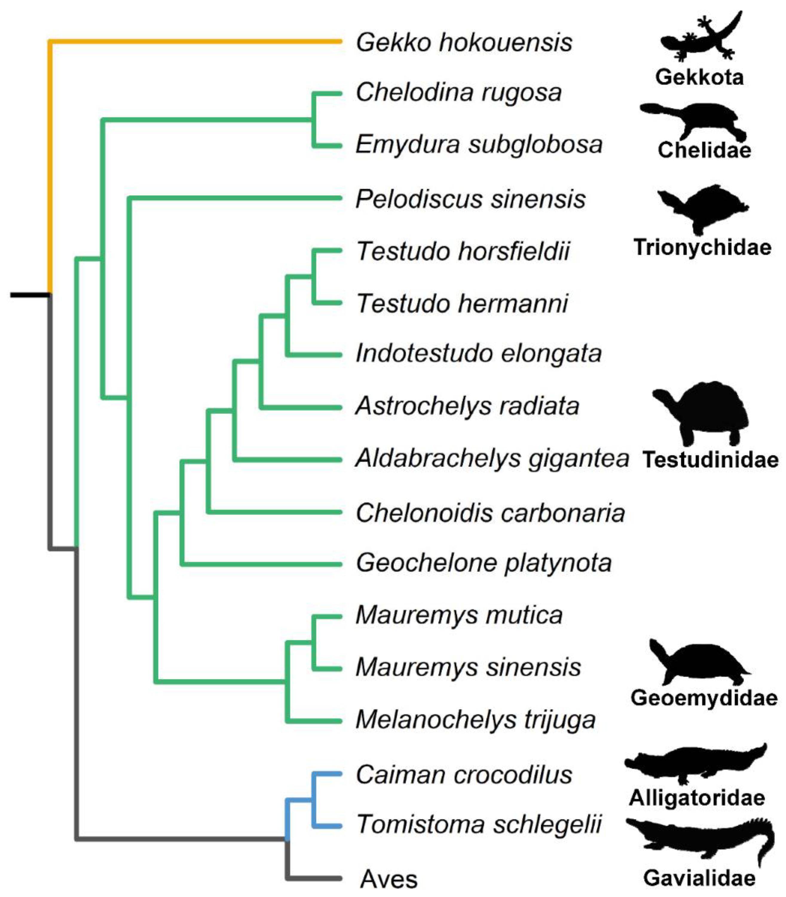 Biology 12 00688 g001