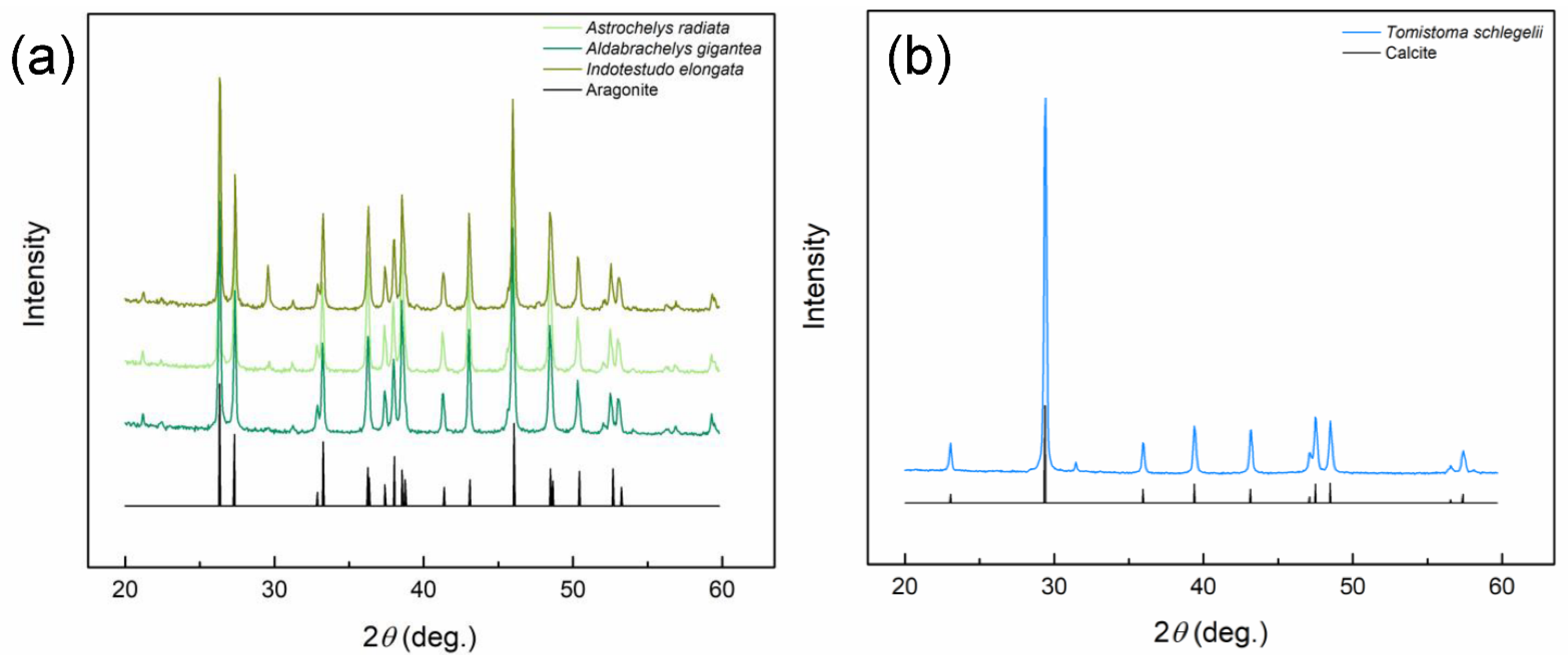 Biology 12 00688 g005
