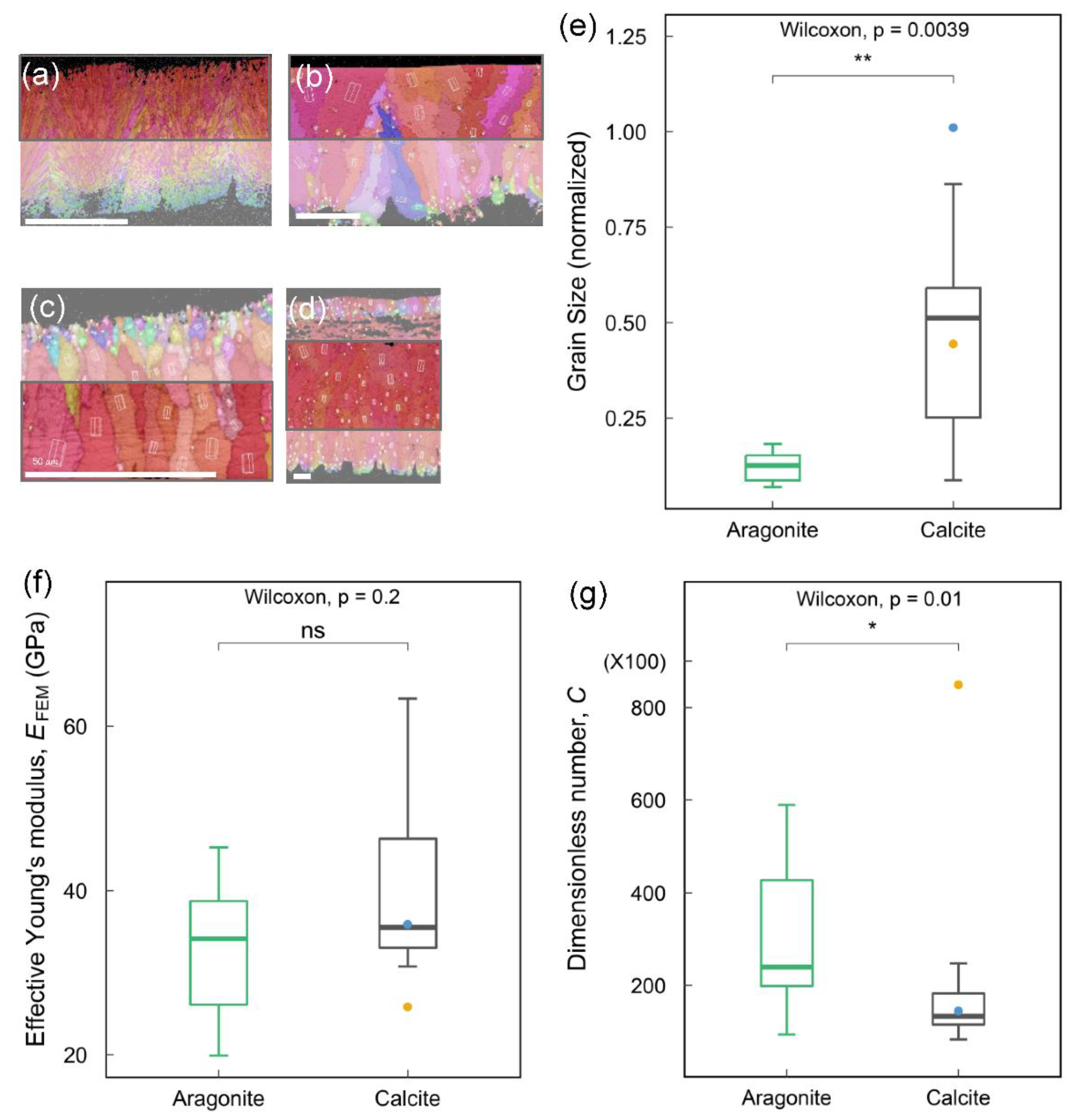 Biology 12 00688 g007