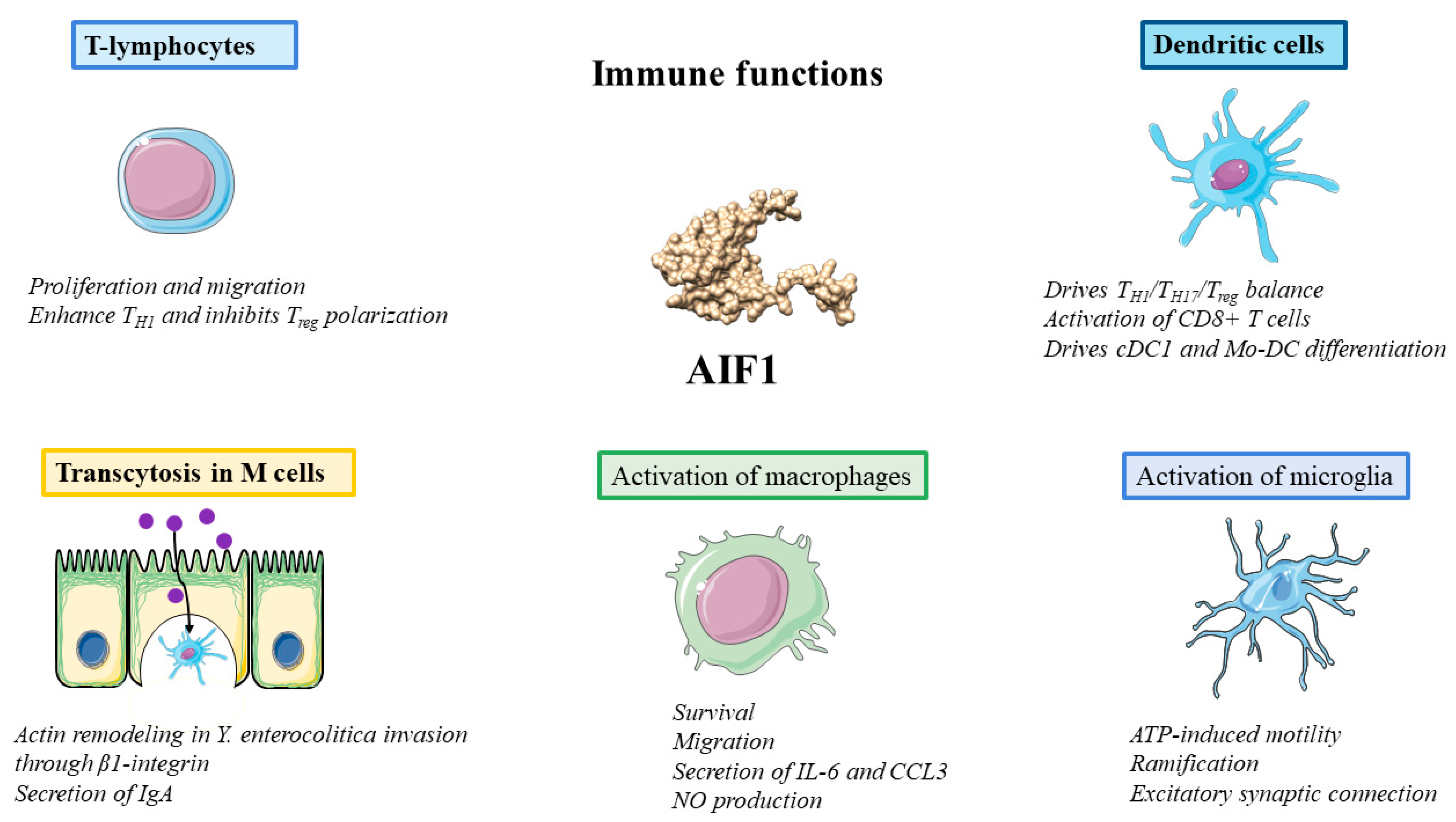 Biology 12 00694 g002 Biology 12 00694 g002