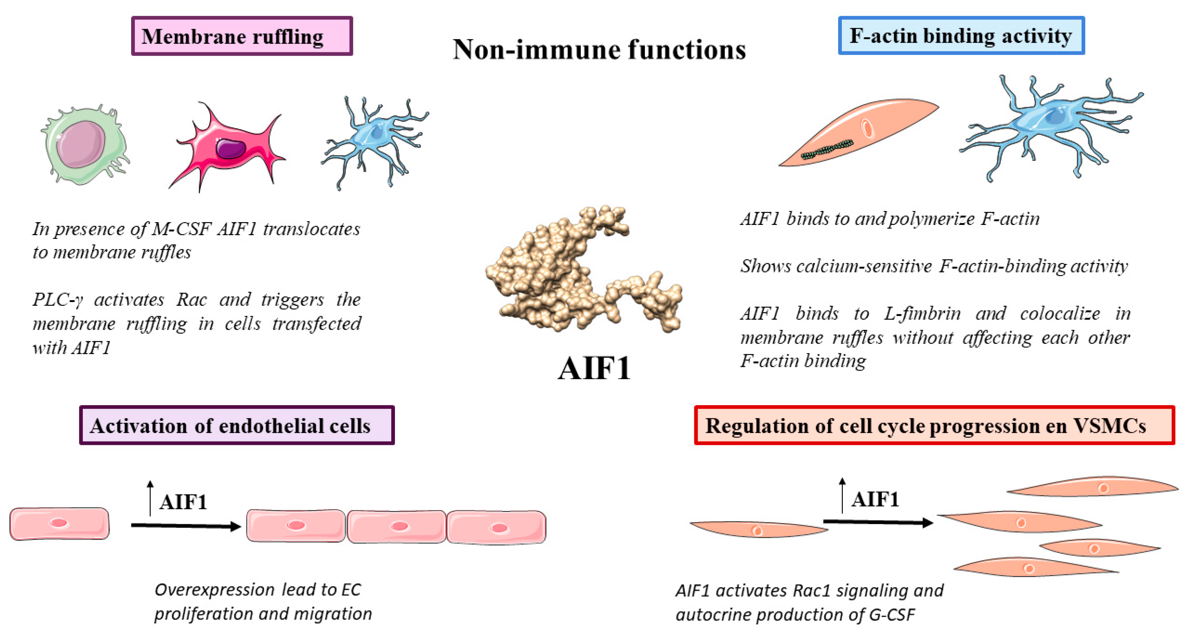 Biology 12 00694 g003 Biology 12 00694 g003