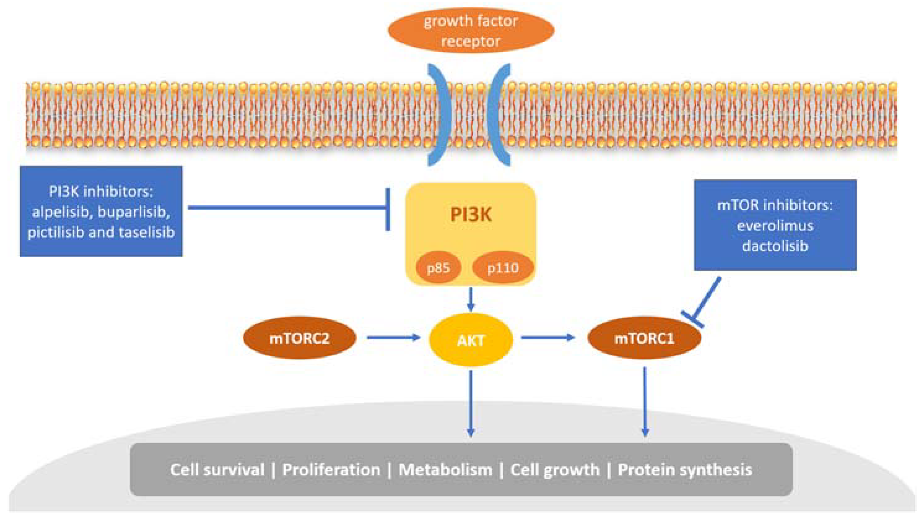 Biology 12 00697 g002 Biology 12 00697 g002