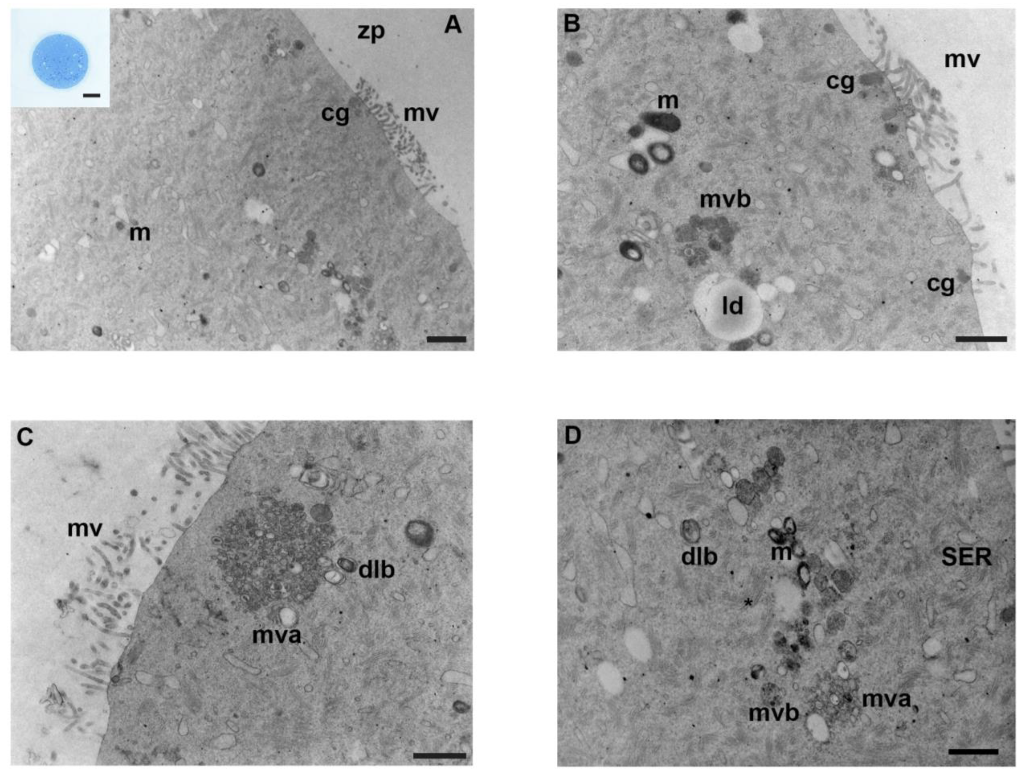 Biology 12 00698 g001 Biology 12 00698 g001