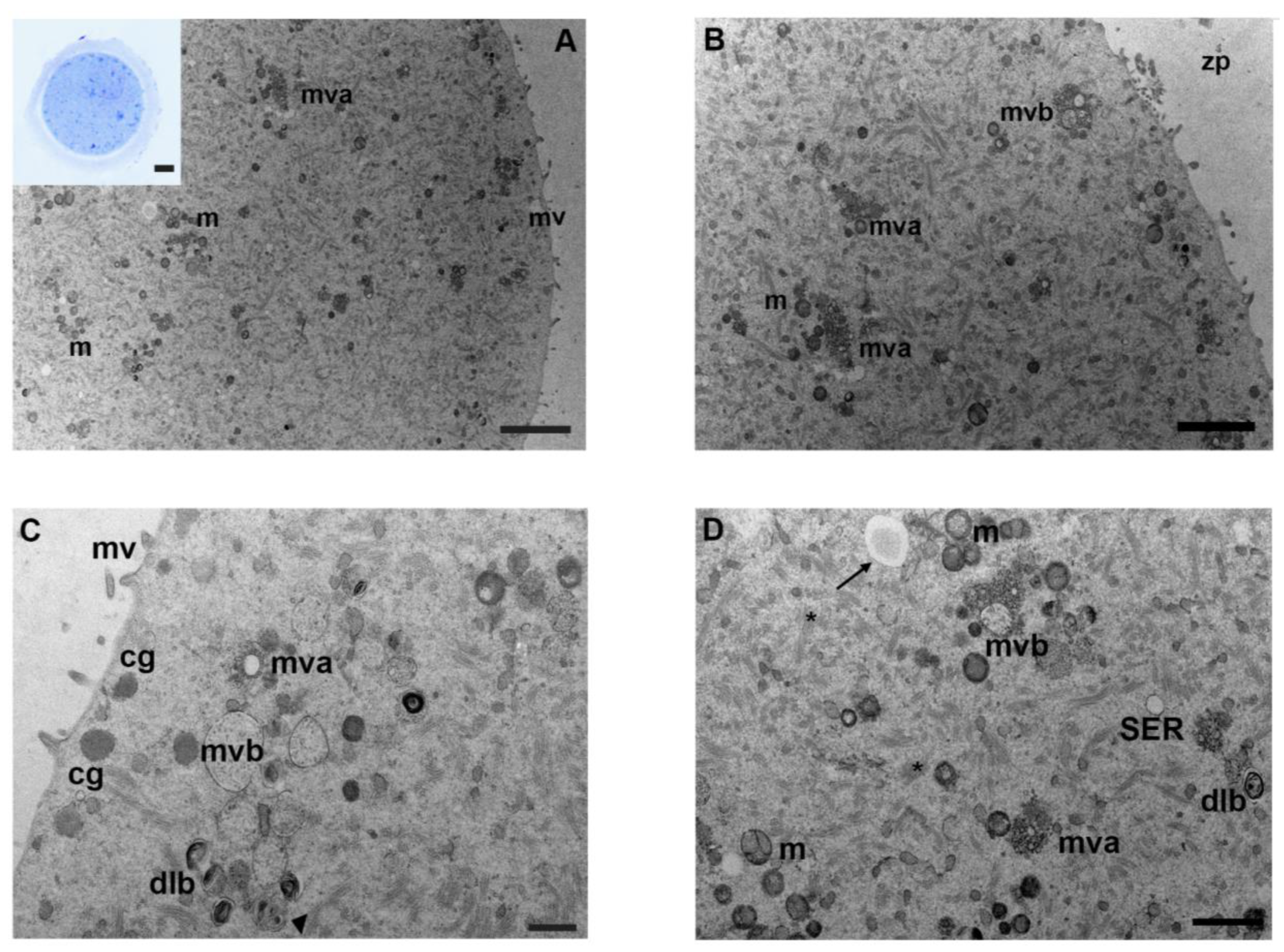 Biology 12 00698 g002 Biology 12 00698 g002