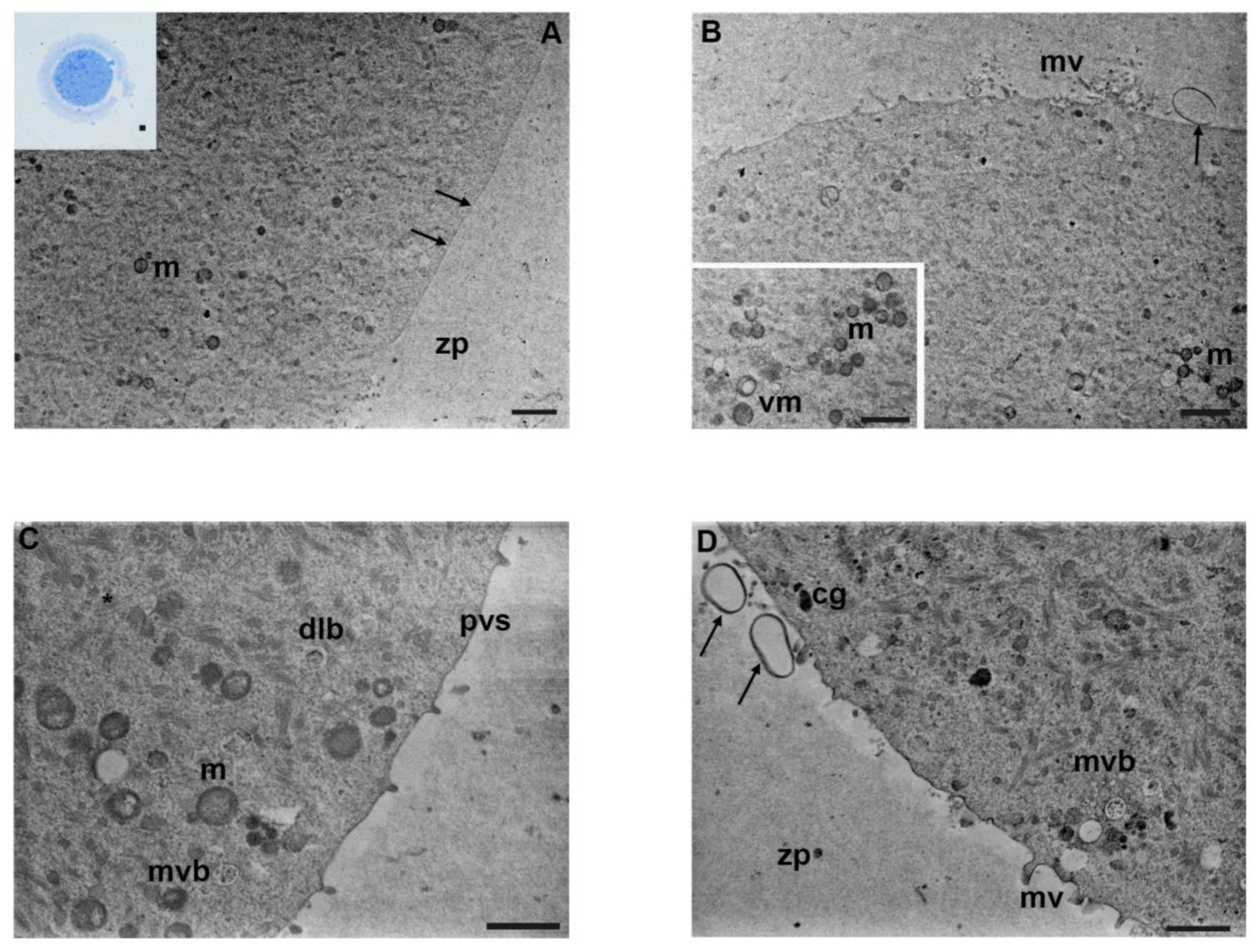 Biology 12 00698 g005 Biology 12 00698 g005