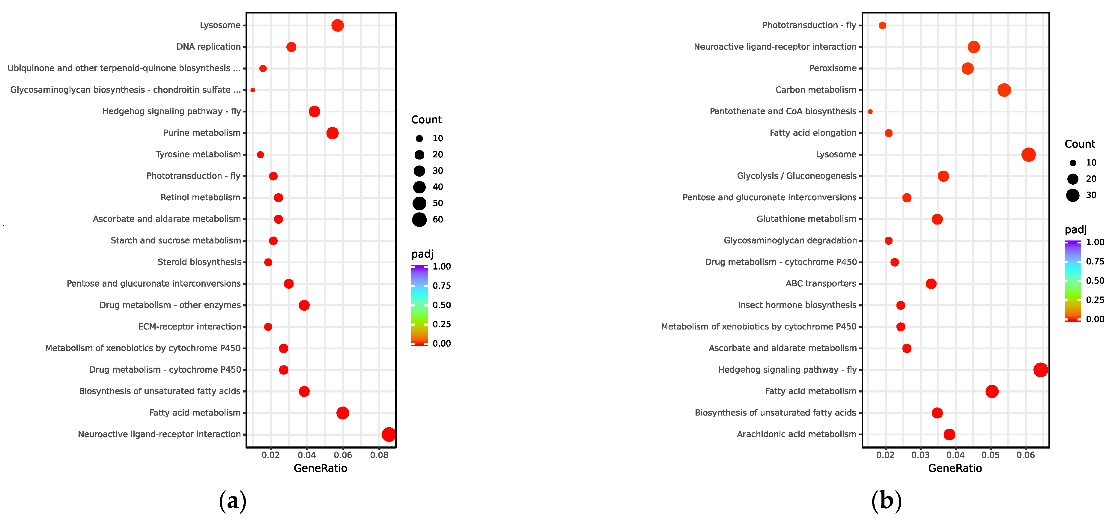 Biology 12 00700 g004 Biology 12 00700 g004