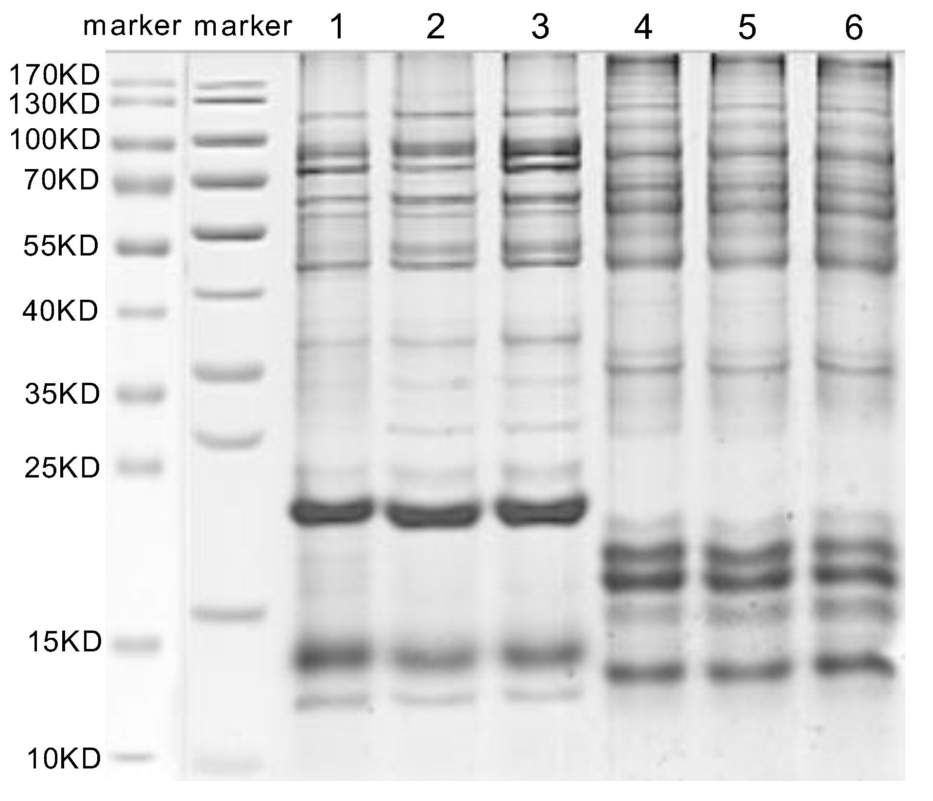 Biology 12 00700 g005 Biology 12 00700 g005