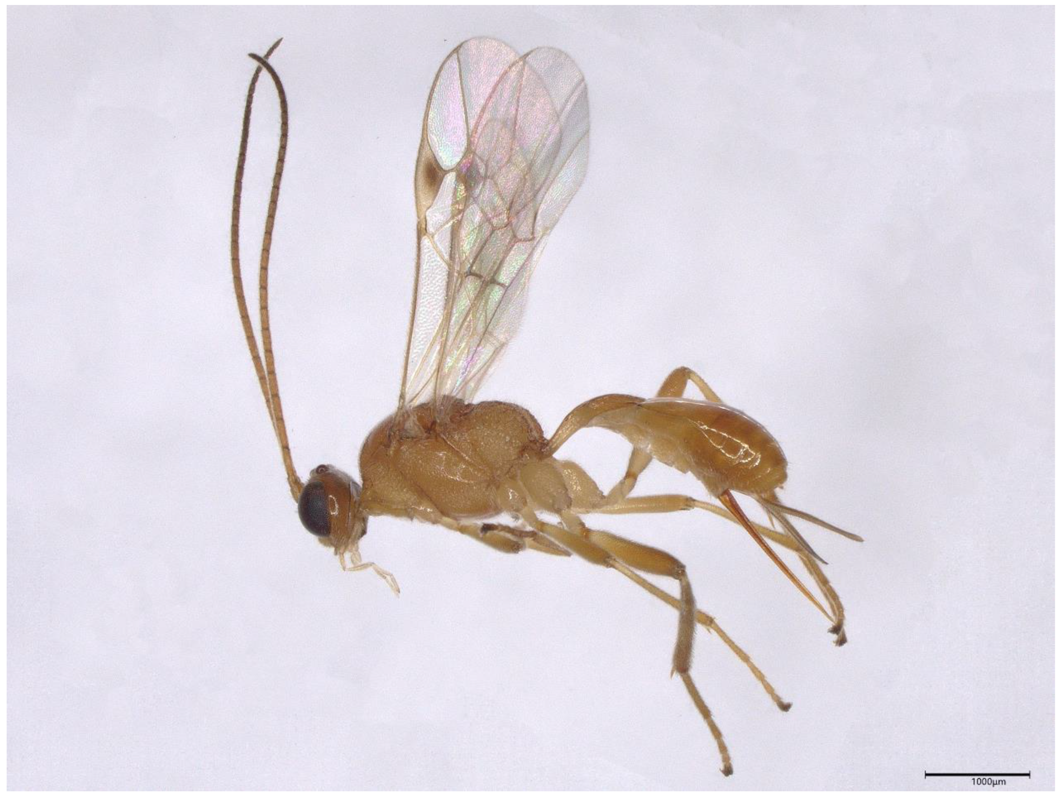 Biology 12 00713 g001 Biology 12 00713 g001