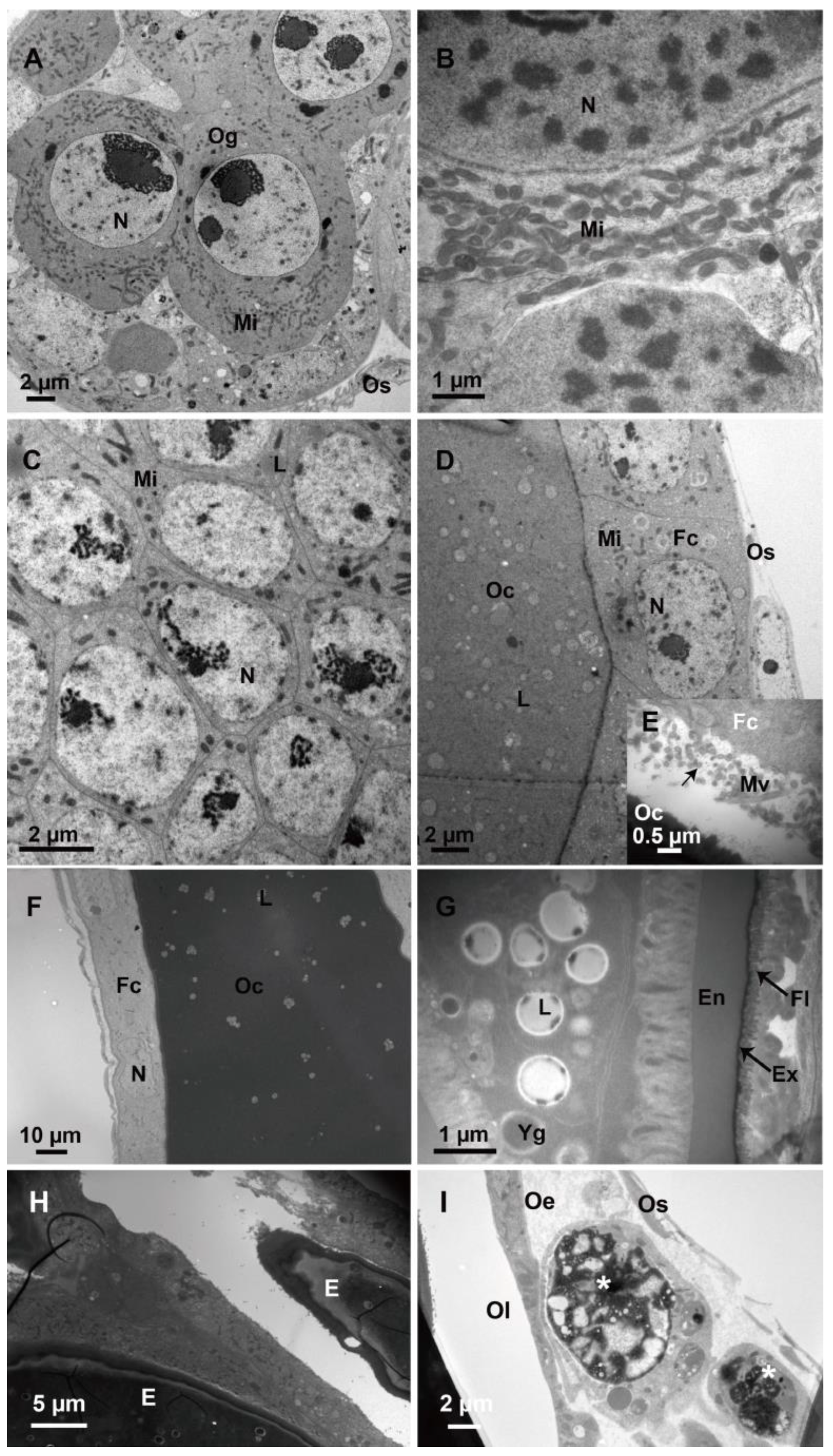 Biology 12 00713 g003 Biology 12 00713 g003